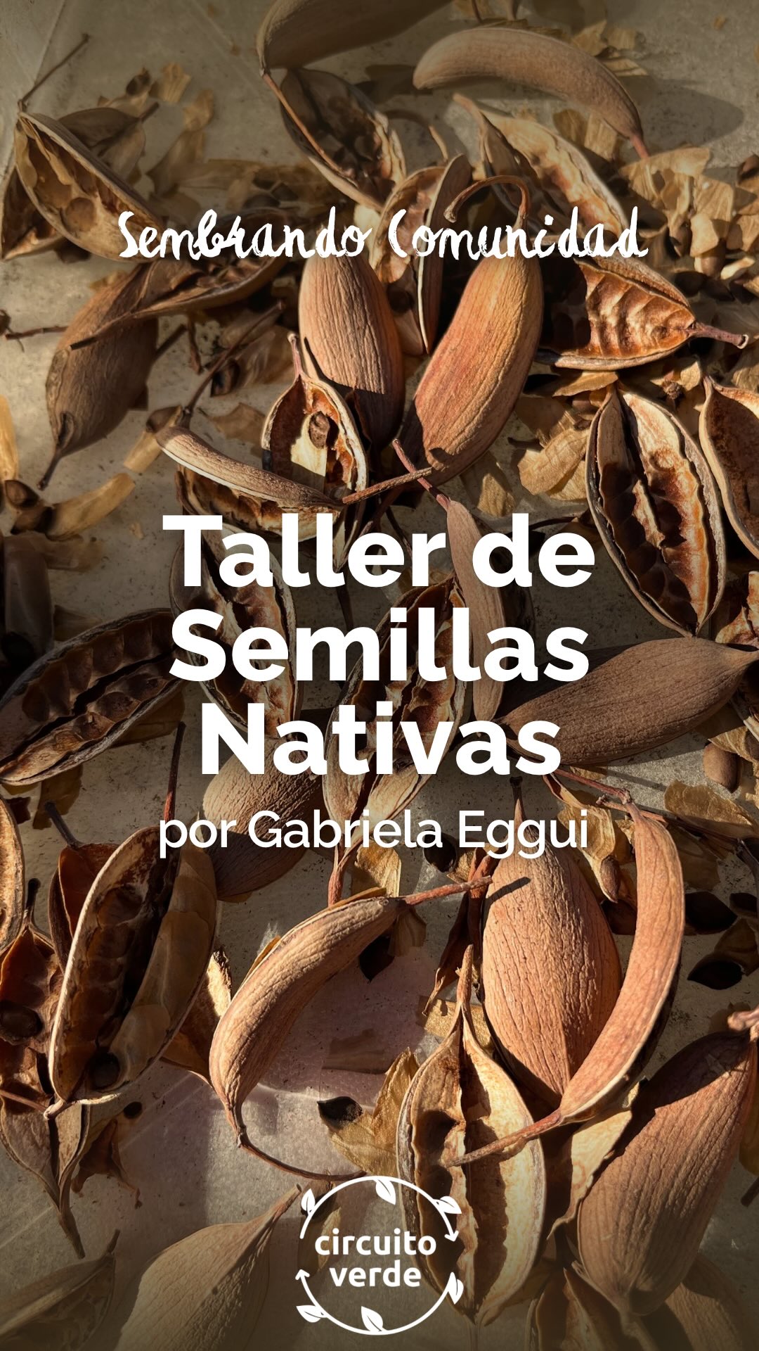 Taller de semillas nativas 🌱
En nuestra huerta agroecológica recibimos a Gabriela Eggui @egguigabriela, técnica en viveros de la UNRN, para compartir un espacio formativo sobre semillas de especies nativas.
Durante la jornada abordamos técnicas de recolección, clasificación, tratamientos pregerminativos y conservación. También reflexionamos sobre la importancia de revalorizar las especies del territorio como estrategia para restaurar ecosistemas y fortalecer la biodiversidad local.
🧡 Sembrar nativas es también sembrar memoria, reparación y futuro.
Gracias a quienes se sumaron con ganas, escucha y compromiso 🌿
Seguimos cultivando comunidad, desde el hacer y desde el encuentro.
.
¿Qué próximo taller te gustaría que hagamos? Te leemos 👇🏻