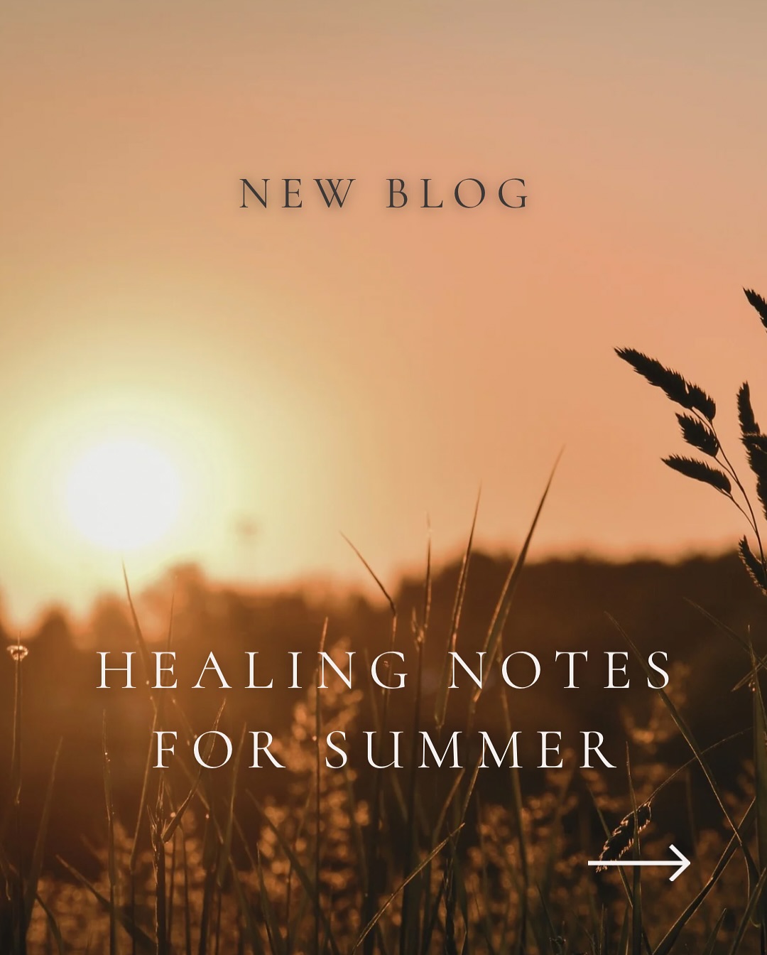 New on the blog ✨
The summer season invites brightness, connection — and the need to stay grounded. In our latest post, Healing Notes for Summer, guest writer Laura (aka The Secret Inspirer) shares gentle ways to support your body and nourish your joy during the most expansive time of year.
Rooted in Traditional Chinese Medicine, Laura explores the heart-fire energy of summer, along with recipes and rituals to keep your system cool, steady, and resilient — including:
🌿 A daily Schizandra tonic for vitality + clarity
🍋 A summer elixir with goji, lemon + mint
🥗 A beetroot + quinoa salad for heart nourishment
✨ Herbal insights, seasonal food wisdom + more
Let this be a summer of simple joy, nervous system care, and quiet power.
Take what you need. Leave what you don’t. Read the full post now on the F+A website.
#SeasonalLiving #HealingFood #TCMWisdom #SummerRituals #HerbalSupport #NourishYourJoy #TheSecretInspirer #HolisticHealth
Photo credit : @kate.lafitte