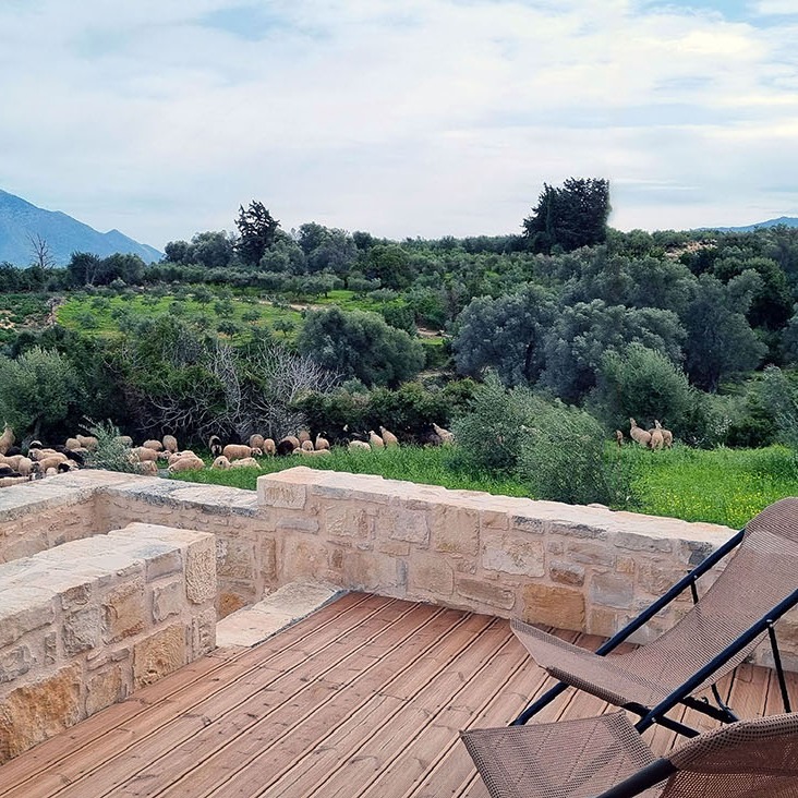 Imagine a holiday routine in Crete during the High Holidays.
A 200-year-old stone house in the heart of the island – Blue Daisy House.
A peaceful retreat surrounded by beautiful scenery and the gentle sound of sheep bells.
We still have three available weeks during the holidays:
September 22–29 – Rosh Hashanah
September 29–October 6 – Yom Kippur
October 6–13 – Sukkot
We’ve added a refreshing plunge pool under the charming stone arch in the courtyard –
a perfect complement to the serene Cretan atmosphere.
Now call Uri and pack your bags!
דמיינו לכם שגרת חופשה בכרתים בחגים.
בית אבן בן 200 שנה במרכז האי - Blue Daisy House
מקום של שקט ומנוחה עטוף בנוף יפה וצלילי פעמוני כבשים
נותרו לנו שלושה שבועות בחגים
22-29.9 - ראש השנה
29-6.10 - יום כיפור
6-13.10 - סוכות
התחדשנו בבריכת שכשוכית מתחת לקשת היפה בחצר
שמשלימה את השלווה הכרתית במים צוננים
עכשיו תתקשרו לאורי ותארזו מזוודה
אורי 0546515669