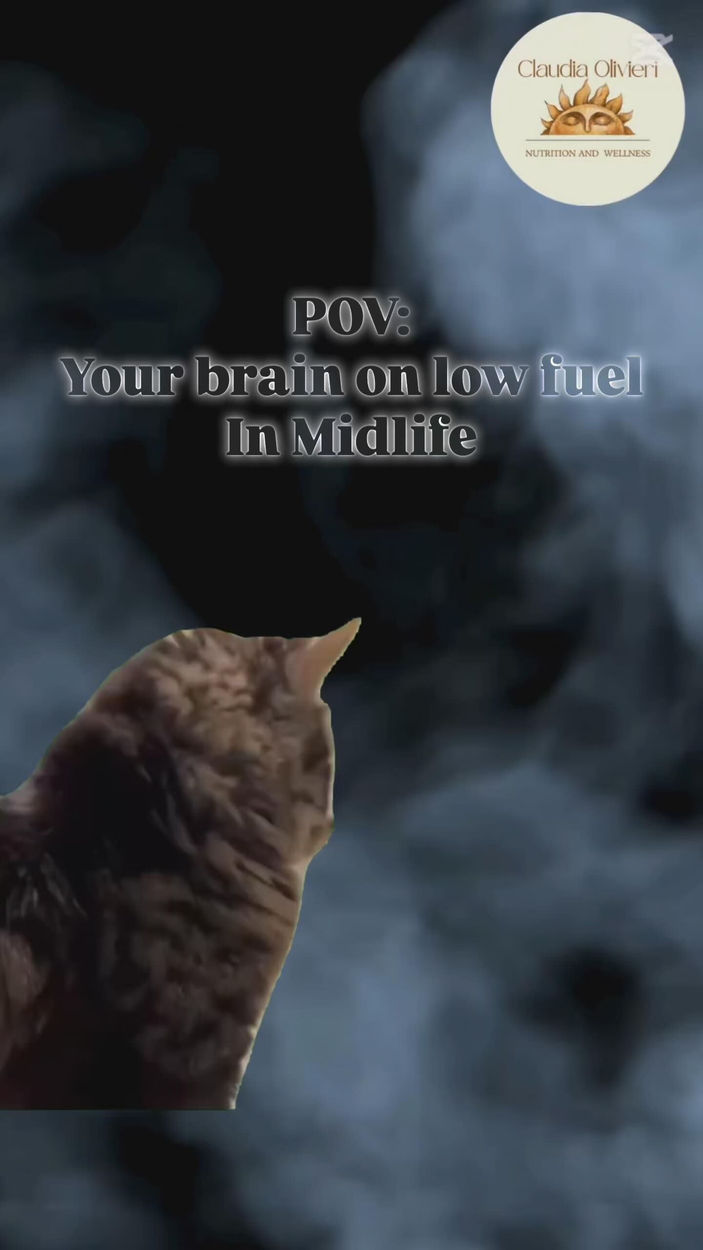 š www.claudiaolivieri.com š Brain fog creeping in? Itās more than just āgetting older.ā Itās your brain begging for better fuel.
As estrogen dips in midlife, your body struggles to use sugar efficiently. Ketones - fat-made fuel, step in as the superhero to provide a cleaner, sharper energy source for your brain.
But hereās the catch: you canāt just fast randomly or skip snacks and expect your brain to switch gears.
Thatās where my Midlife Transformation Plan comes in. I guide you step-by-step on how to safely and effectively shift into ketosis, so your brain and body feel energized, clear, and alive.
If youāre curious about how this could change your days, and want to take control of your health again, letās talk. Book a spot and start feeling like yourself ā but better. #wellnessjourney #fastingcoach #fastlikeagirl #eatlikeagirl #weightlossjouney #gozohealth #claudiaolivierinutrition #maltawellness #midlifefasting #ketonesforbrainhealth #brainfogrelief #metabolichealthcoach #menopauseweightloss #womenover40fitness #menopausewellness