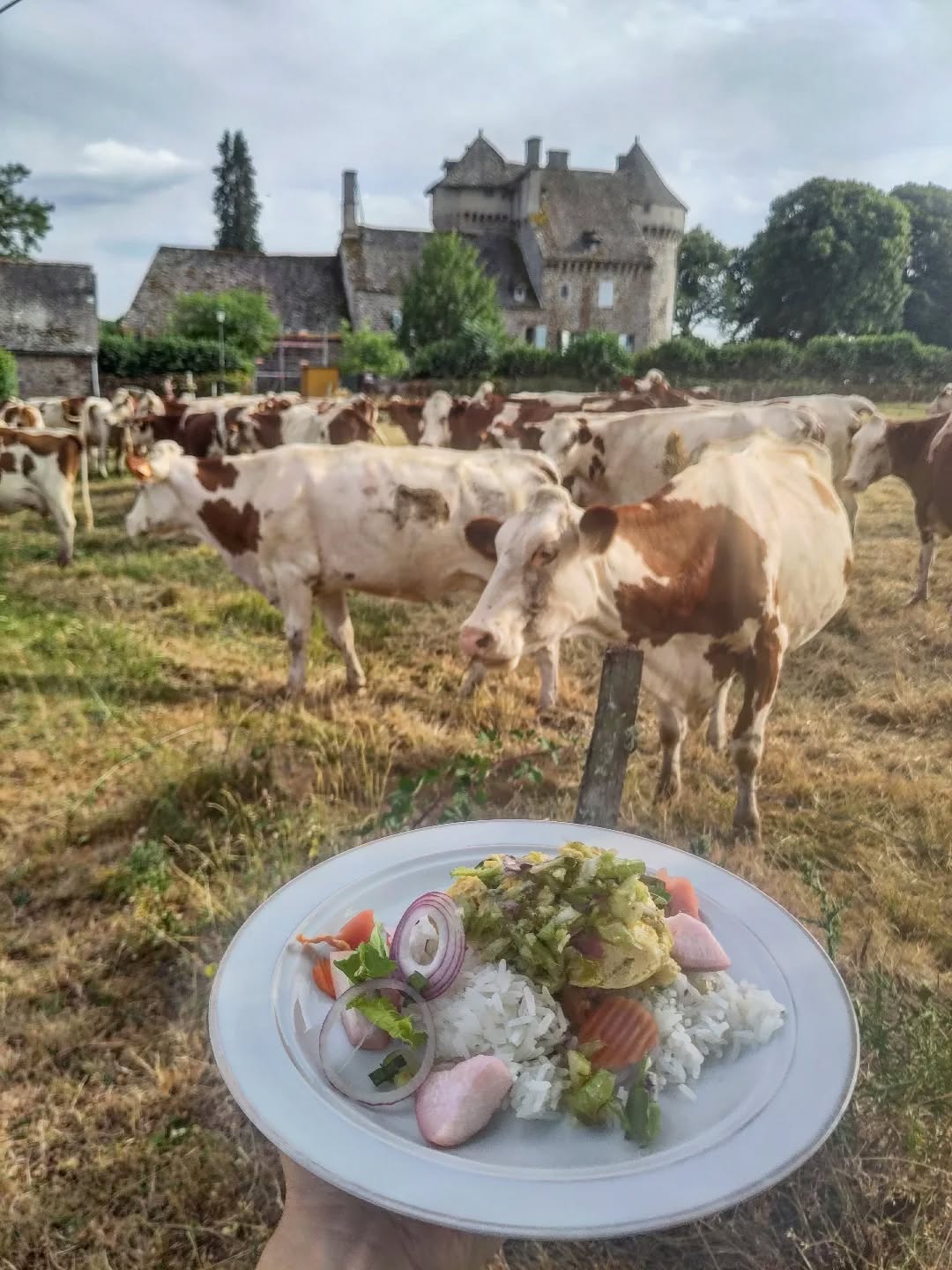 Omelette au lait de coco et pickles, ambiance Moyen âge par ici...
#onset #catering #cheflife #foodies #eggrecipes