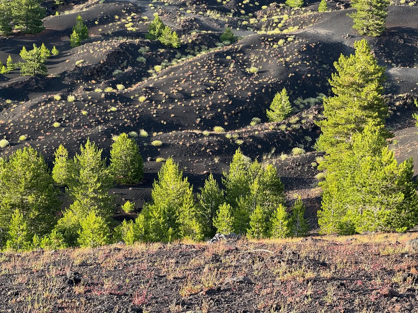 #Etna Trekking Easy • The tour suitable for everyone and for families with children to discover Mount Etna at medium altitude 🌋❤️☀️ #sicily #volcanoes #sicilia #guidevulcanologichesicilia
👉 Info/Prenota
🌐 https://www.etnative.com/en/etna-trekking
📲 +393780861560
Ⓜ️ etnativo@yahoo.it