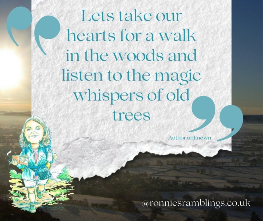 ✨ Weekly Smiles from Ronnie ✨
Ronnie’s notebooks are little treasure chests of joy, eccentric wisdom, and unexpected giggles — just the thing to brighten up your day!
#WeeklySmilesFromRonnie #RonnieQuotes #notebooklove #ronniesramblings #ronniesgifttous