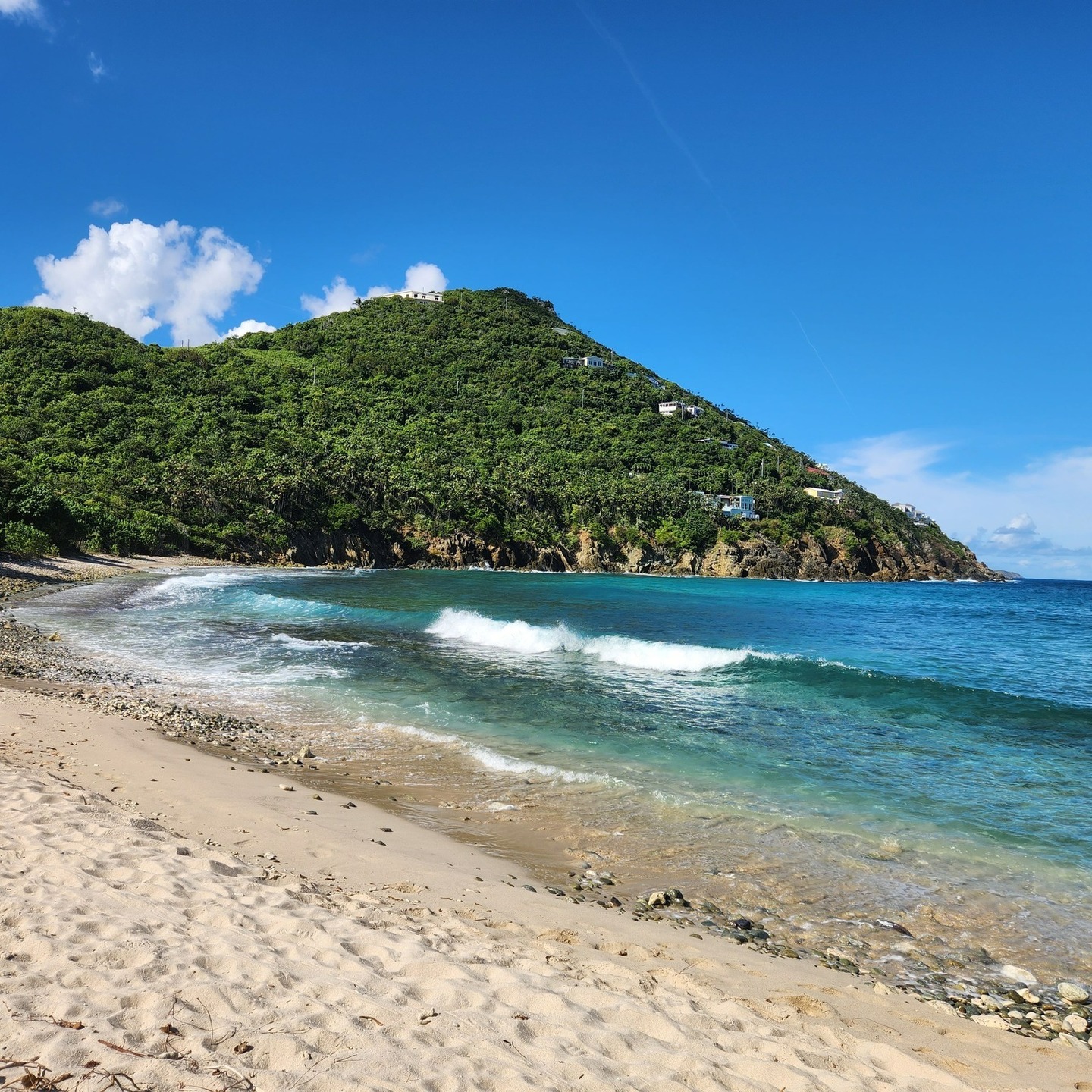 🌊 Secluded. Serene. Spectacular. 🌿
This is one of the hidden gems you can reach on our Jeep Tours or private charters. No crowds. No noise. Just you, the ocean, and the moment.
Escape the usual. Discover the untouched.
📧 adventureawaitsusvi@gmail.com
🌐 adventure-awaits.com
#SecretSpotsUSVI #IslandEscape #JeepTourAdventure #HiddenParadise #AdventureAwaitsUSVI #TropicalSerenity