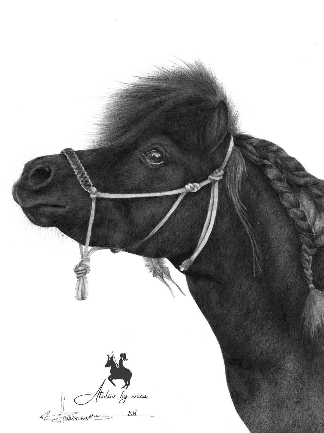 Lange zomerdagen en vrolijke ponies die hun verjaardag vieren 👑 18 kaarsjes ondertussen al voor deze kleine dame.
'Mindy-2018' - Privé collectie
A4 formaat Grafietpotlood op Steinbach papier
#huisdierenportret #paardenportret #shetlandpony #grafietportret #pencildrawing #atelierbyerica #handmade