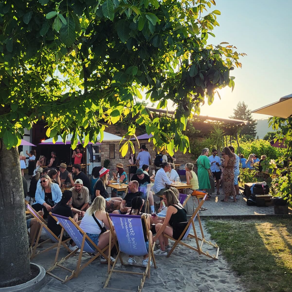 Vielen Dank an alle Besucher die am Wine Strand mit uns vier Tage lang gefeiert haben.
Hoffentlich konntet ihr ein gutes Glas Wein 🍷 genießen, etwas chillen 😎 und im Liegestuhl den Sonnenuntergang 🌅 erleben.
Wir bedanken uns an alle Musiker @alexander.poth.52 @thepineapplejukebox und @vinolectro für die tolle Stimmung. 💃🕺🪩
Und ein großes Dankeschön an unsere Freunde @blubbereck für das leckere Essen!
Wir sehen uns bald wieder!
Save the Date —> 01.-04.August 💜💜💜
#winestrand #winestrandmussbach #mussbach #mußbach #pfalz #vinothek #wein #vinothek #strand #beach #musik #dj #steigelmann #zumwohldiepfalz #neustadtanderweinstrasse #weinstraße #goodtimes