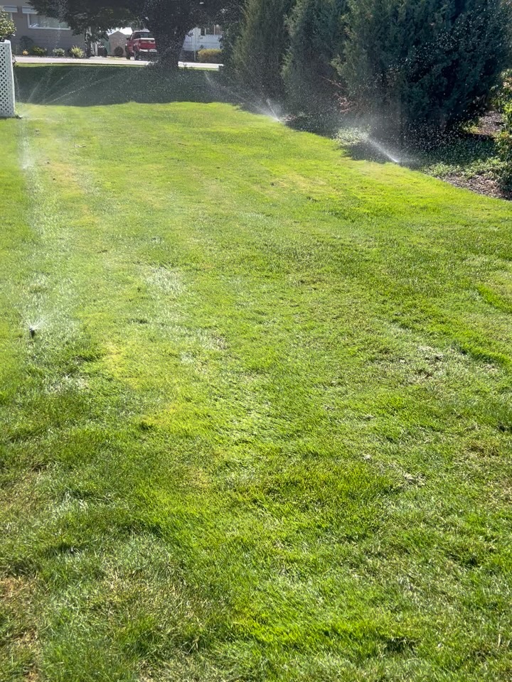 Summer is here and irrigation is are thing . Give use a call for your irrigations needs #tapcontracting