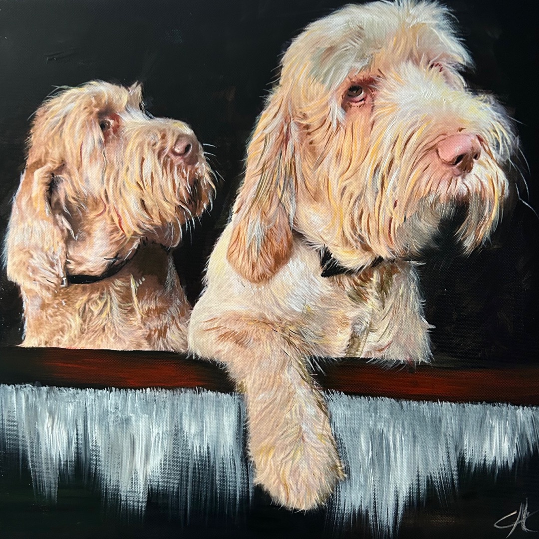 Meet the Earl of Leicesterโs gun dogs! ๐พ
I painted these two rascals, but they are just two of many dogs owned by the Earl. They live with him on his estate in Holkham, Norfolk and are very friendly and extremely hard working.
#thedogportraitartist #portraitpainting #oilpainting #clivehemsley #painter #artist #earlofleicester #gundogs #Leicester #8thEarlofLeicester #LordLeicester #HolkhamHall #Holkham #Norfolk @holkhamestate @holkhamestate_team