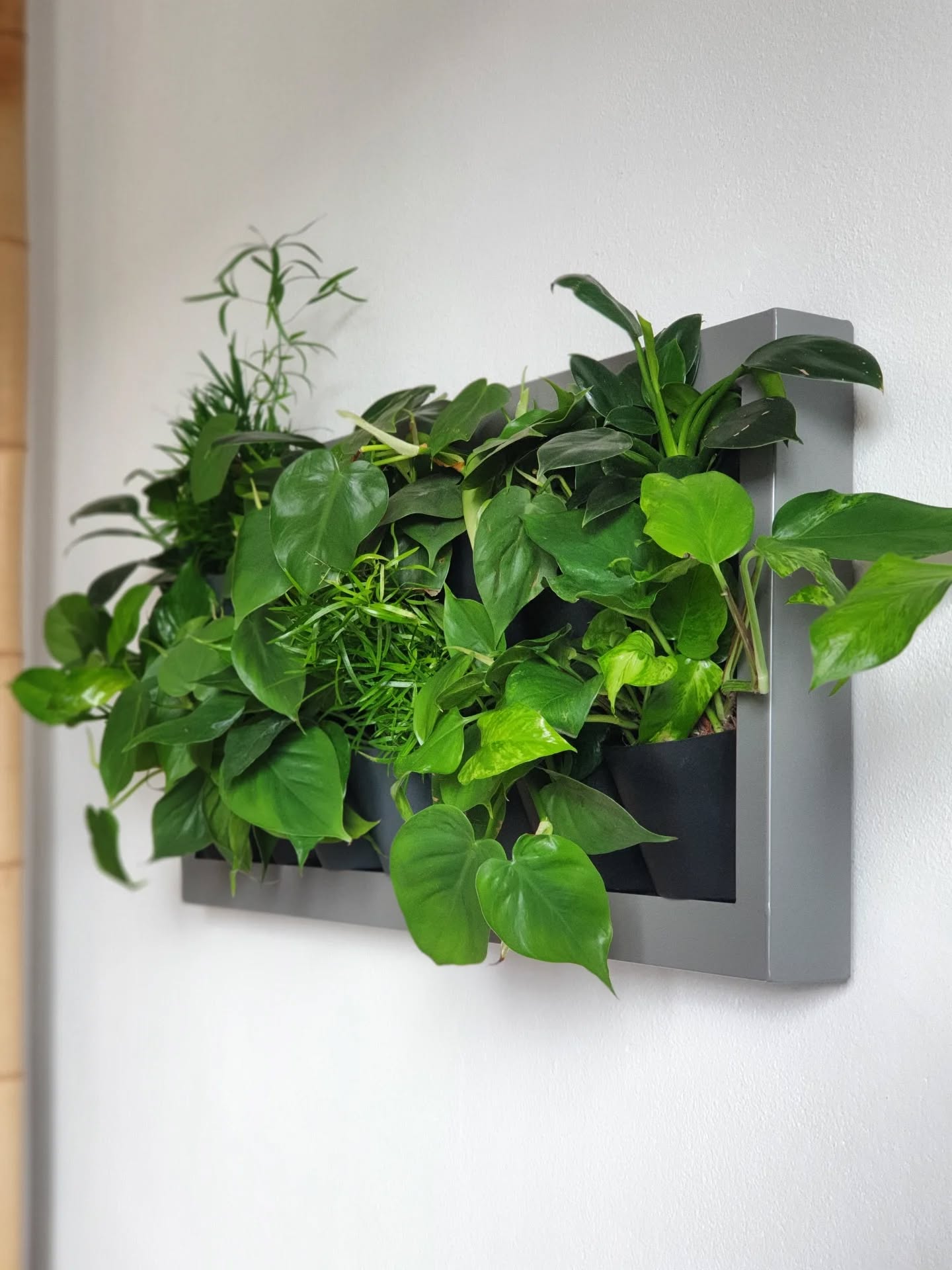 Živé obrazy na mieru znamená aj výber farby hliníkového rámu v odtieňoch ral na želanie 🔲🍀.
#ziveobrazy #eo