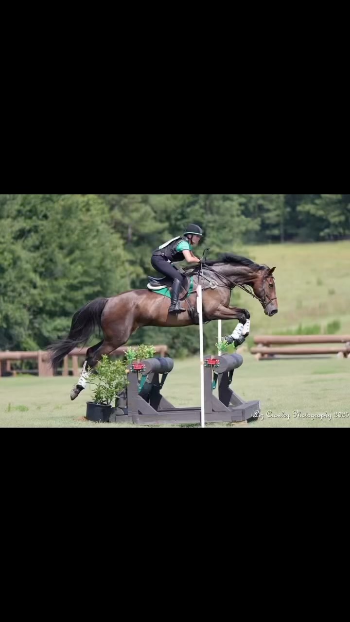 Amazing time with Ted at Stable View last weekend! The pictures were amazing, thank you Liz Crawley Photography!!! Thanks Ted for helping me find my wings again! #millereventing #fernhillfreestyle🍀