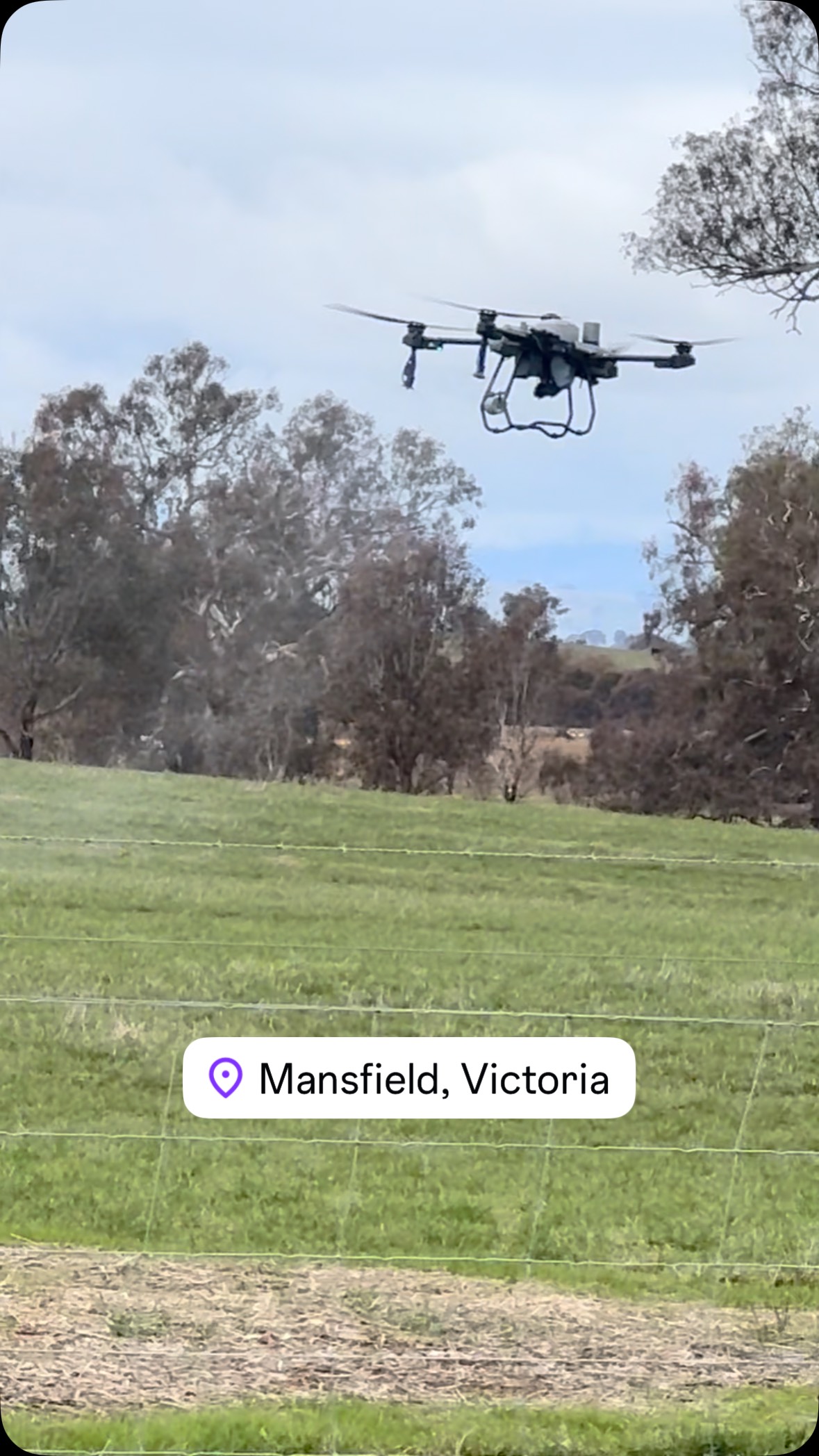This week’s job, 100ha to spray with a biological liquid fertiliser called Combo XS from @switchagau . This property has been in cropping rotation for the last half century and the new owners are trying to boost the soil biology for perennial cattle pastures. #djiagras #agdrone