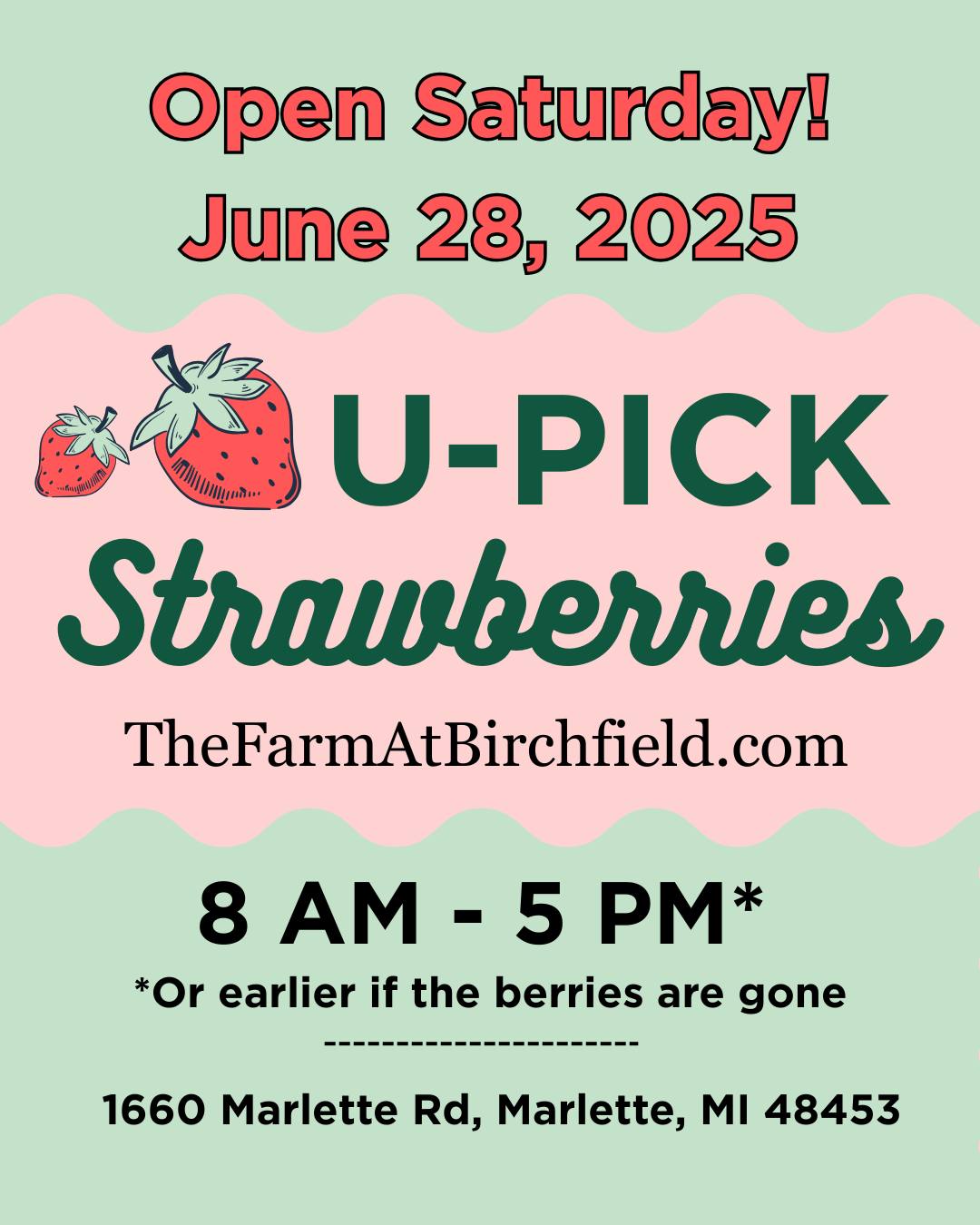 ๐๐ ONE DAY ONLY! ๐๐
Strawberry lovers, this is your moment! Birchfield Farm is opening for U-Pick strawberries THIS SATURDAY, June 28 from 8AM โ 5PM (or until the berries are gone โ and trust us, they might go fast!)
๐ 1660 Marlette Rd., Marlette, MI 48453
Just 3 miles west of M-19 on Marlette Rd!
This could be the final pick of the season โ but there are still plenty of perfectly ripe, juicy berries waiting just for you! ๐โจ
Grab your bucket hats, your friends, and your sunscreen โ itโs the sweet, local adventure you donโt want to miss!
๐ Tag your berry-picking buddy and letโs make this last harvest one to remember!
#StrawberrySeason #UPickStrawberries #BirchfieldFarm #MarletteMI #OneDayOnly #FarmFun