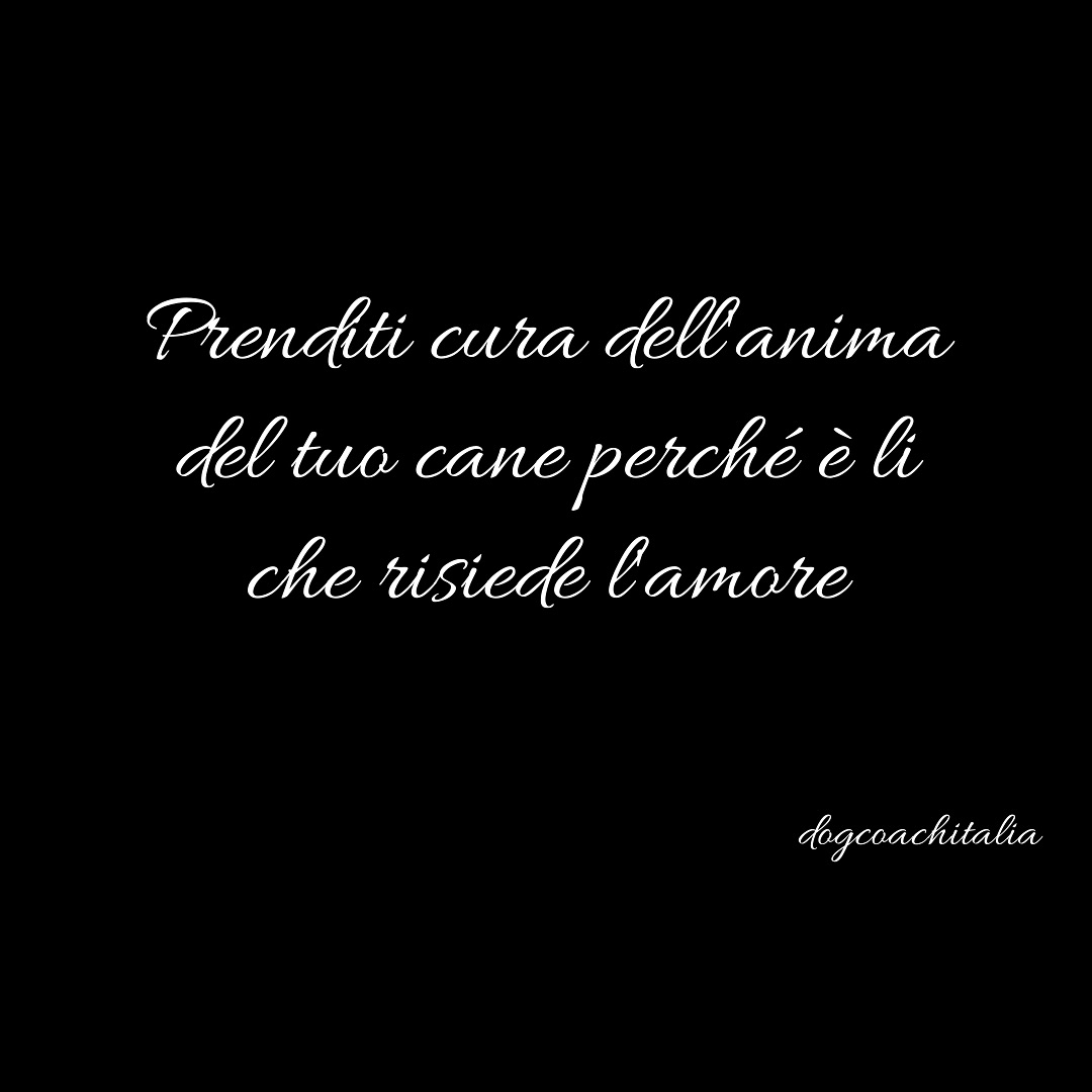 Prenditi cura dell’anima del tuo cane…
#animali #animalidomestici #anima #glianimalihannouncuore #prenditicura