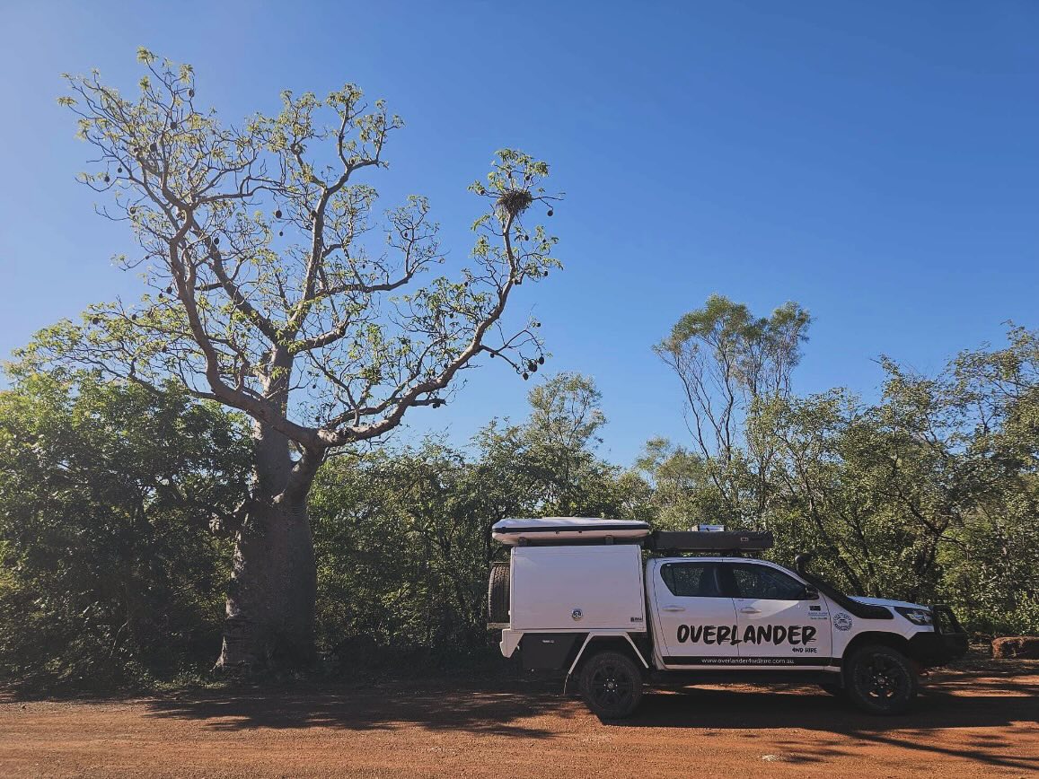 — The Boab; a true symbol of the Kimberley spirit. 🌳 ✨
#outbackbeauty
#sacredtree
#roadtripaustralia
#thicctreesonly
#kimberleyaustralia
#wander
#toyotahilux
#jamesbaroud
#bullmotorbodies
#bridgestone