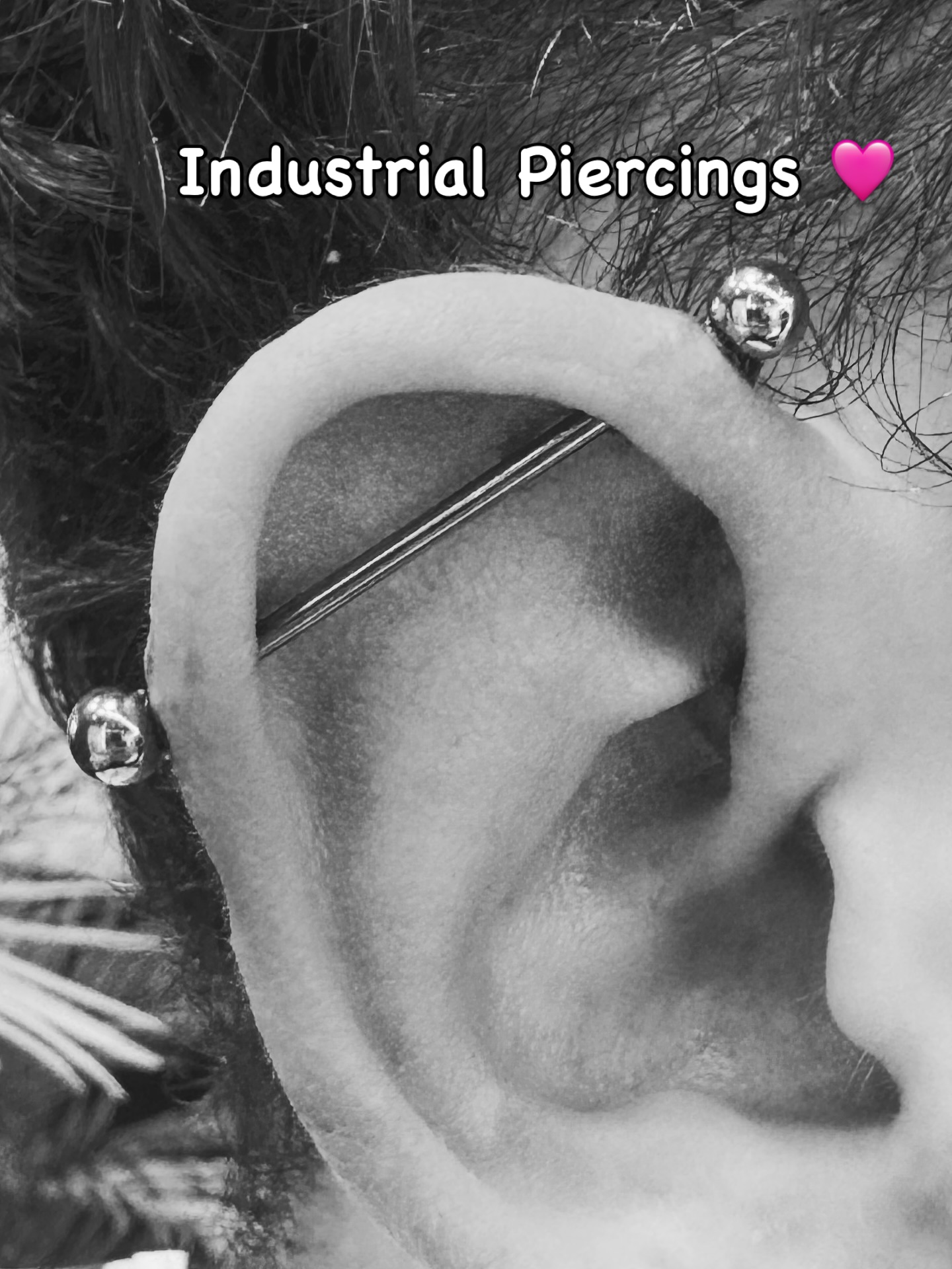 Double the impact. One iconic look.
✨ Fresh industrial piercing done by our team at Spiral.
Using only medical-grade titanium for optimal healing.
💬 DM us for bookings or questions!
#SpiralConceptStore #PerthPiercing #IndustrialPiercingVibes#IndustrialPiercing #EarPiercing #PiercingPerth #PerthPiercer #BaldivisPiercing #SpiralPiercing #PiercingStudio #CuratedEar #BodyPiercing #TitaniumJewellery #AnodisedTitanium #FreshPiercing #EarGoals #PerthStyle #WAStyle #BodyArtAustralia #PerthTattooAndPiercing #SpiralConceptStore #HelixToHelix #PiercingInspo #PiercingAddict