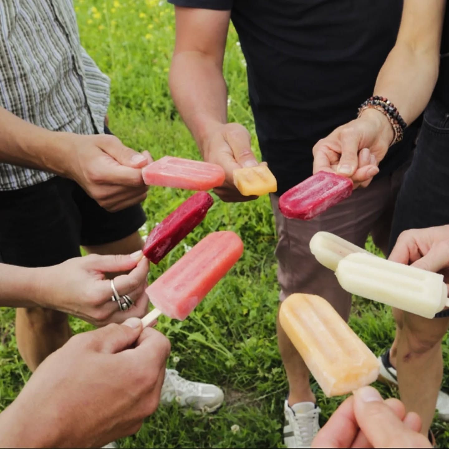 Lekker zonnig, ook bij ons op het veld. 🥵
Geen beter moment om te verfrissen met een Daalkouter fruitijsje 👀
Nu ook in @molleke.brussels & @waterkantgent
En binnenkort ook in 't uilenkot in Herzele. ✌🏻
Bestellen voor bij je thuis? Dat kan, afhalen kan op de boerderij.
Check onze website voor meer info.
☀️☀️☀️