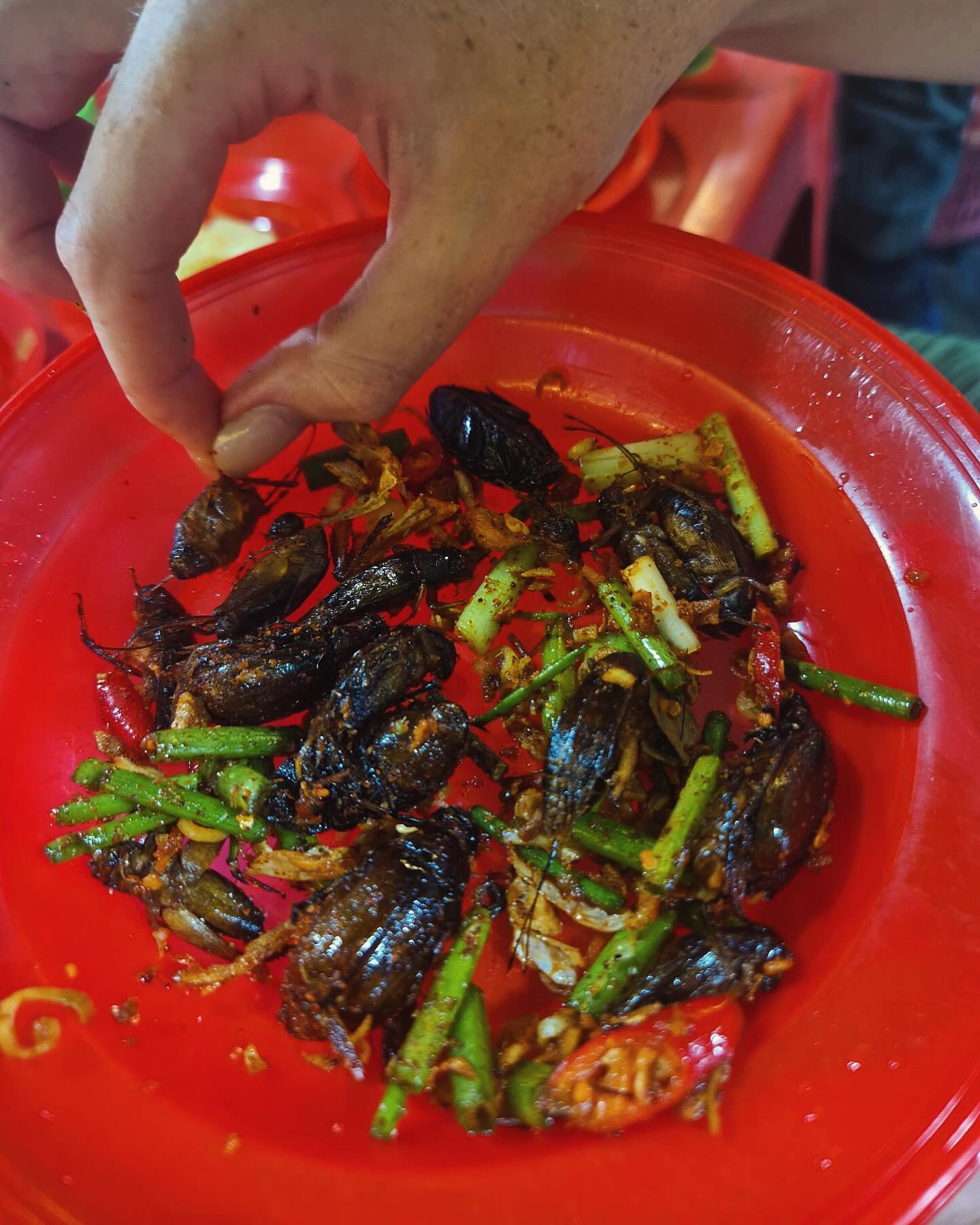 Bugs, beetles, crickets… and some frogs who really croaked 🐸😅 When in Cambodia, you crunch like the locals! Crickets and frogs? Surprisingly tasty. The beetle? Never again 😂
Would YOU be brave enough to try these creepy crawlers? 🪲
Honestly, they taste way better than they look! Also warmed the belly in a downpour!! ☔️🌧️
#CambodiaEats #siemreap #road60 #FoodAdventure #InsectCuisine #BackpackingAsia #StreetFoodDiaries #FearlessFoodie #CultureOnAPlate #AsiaUncovered #BugSnacks #OffTheBeatenBite