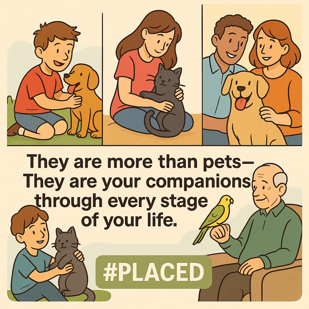 🐾 Animals are more than pets…
They’re your companions through every stage of your life. From childhood to adulthood, they adapt to what you need—whether it’s the comfort of a dog, the independence of a cat, or the calming presence of a bird. Each pet offers a unique bond that grows with you.
My Book explores importance of people and events placed in your life and impact it has driving you forward through emotions. https://www.amazon.com/Placed-Field-Guide.../dp/B0FCKQ2491
#Placed #EmotionalJourney #bookrecommendations