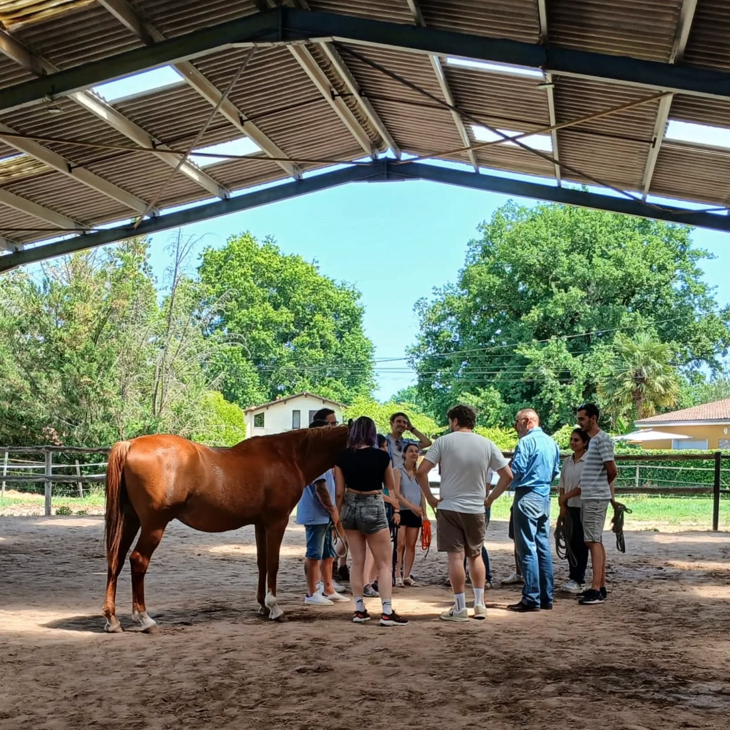 Un plaisir de vous accueillir hier, stagiaires et Guillaume Antoine, pour une journée Equicoaching inspirante ! Bienveillance et connection au programme de ce stage animé par Antoine ! Merci à tous et toutes de votre confiance.
#equifeel #equitation #equitationbienveillante #equitology #equitationnaturelle #equicoaching #cheval #chevaux #horse #horsemanship
Photo courtesy by Marie 👌🏻