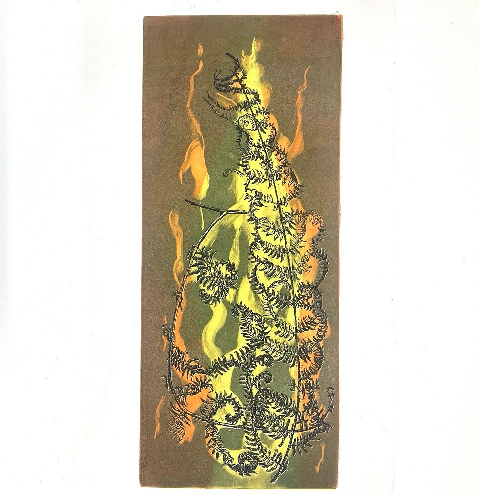 Warme dag, koude dag. Bidden, dromen en dichten kan altijd. (Etsen ook). hppts://digitaal.kn.nl #katholieknieuwsblad #skandalonuitgeverij #insectprint #sealife #printmaking #etching #figuredrawing #classicdrawing #blackandwhitedrawing #engraving #largeetching #penandink #seascapedrawings #fromlifeonly