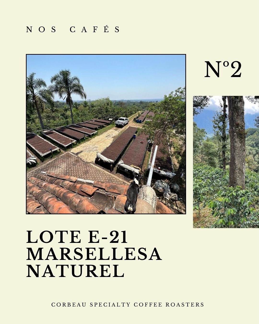 Marsellesa Naturel - Veracruz, Mexique
Produit par @carloscadena____ , importé par @origen.import et torrefié par Corbeau.
Disponible en sachet au café.
#specialtycoffeeshop #specialtycoffeeroaster #barista #cafemexicano
