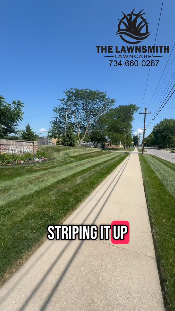 HOA mowing ✅
Contact The Lawnsmith for all of your landscape and Lawncare needs!
#lawncare #mulch #mulching #landscape #landscaping #business #businessowner #homeowner #michigan #annarbor