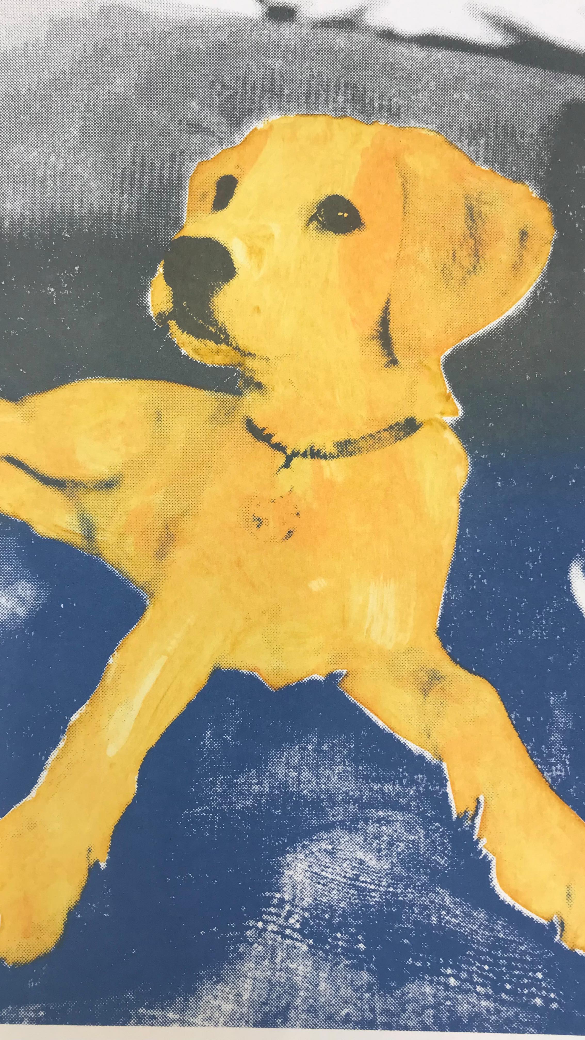 The many variations of Maisy the dog from Tuesdays screenprint on paper class, exploring using paper stencils, colour blends, monoprint combined with a halftone photostencil of the adorable Maisy ❤️we did good with no blocked screens even though it was a scorcher!
#dogdays #photostencil
#studiooasis #screenprintonpaper #dogs #halftone #paperstencil #trysomethingnew #artcoursesbrighton