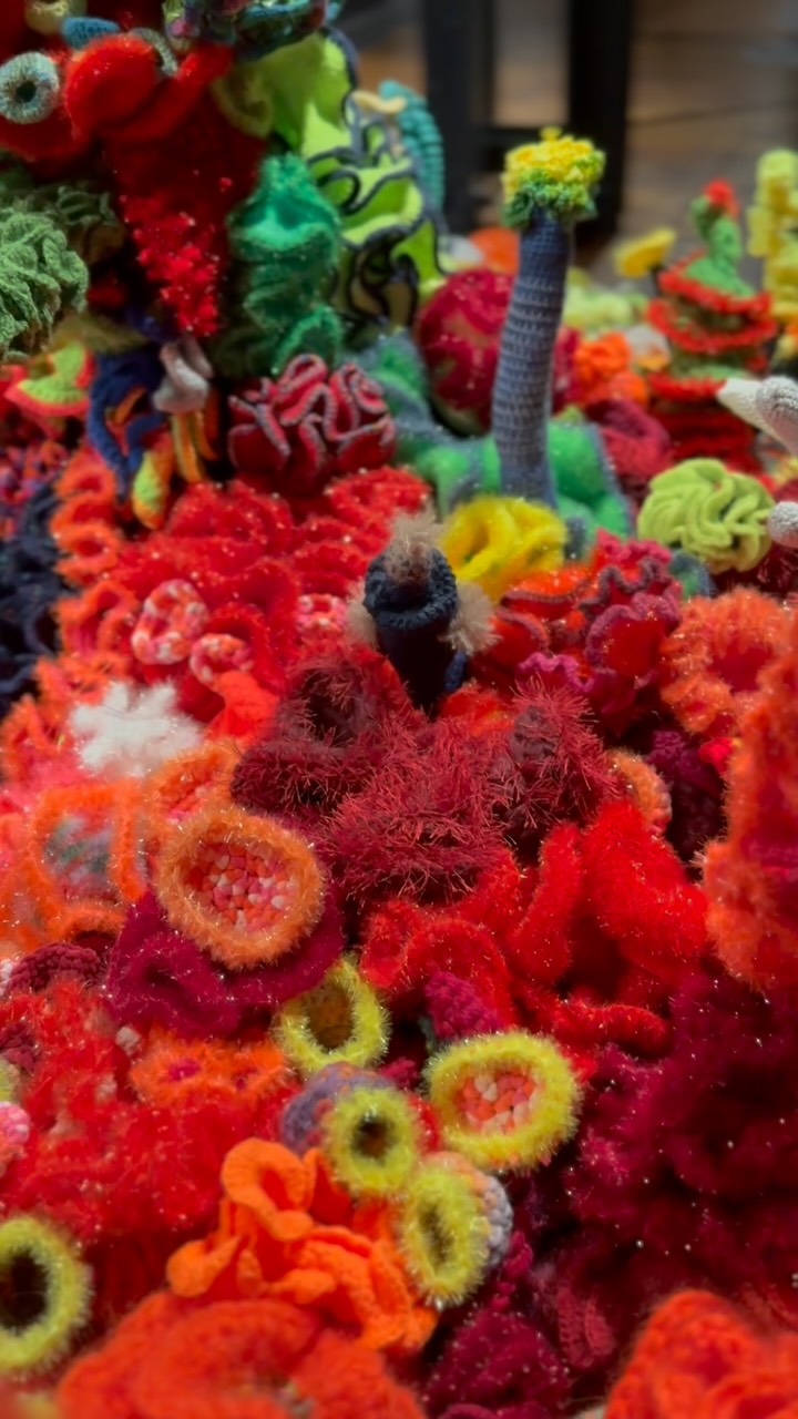 Color rush and happy vibes in Hamburg 🫶 “Korallen” in the IMM, Hamburg. Simply loved it! #colorlovers #coloursplash #immhamburg #corals