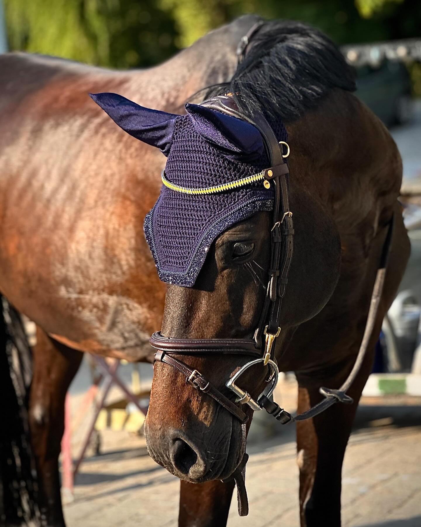 ✨ Besonderer Auftrag – mit Herz und Geschichte ✨
Dieser handgefertigte Stirnriemen im Karo-Design ist etwas ganz Besonderes: In liebevoller Handarbeit habe ich Pferdehaare vom alten Pferd der Besitzerin eingearbeitet. 🐴❤️
So bleibt ein Stück Erinnerung immer dabei – nicht nur funktional, sondern auch emotional einzigartig.
❤️ Danke für das Vertrauen in meine Arbeit und das wunderschöne Foto @pleissjanika 💫
#handmade #stirnriemen #pferdeliebe #pferdehaar #erinnerungfürimmer #sattlerhandwerk #unikat #pferdezubehör #karo #handgemachtmitliebe