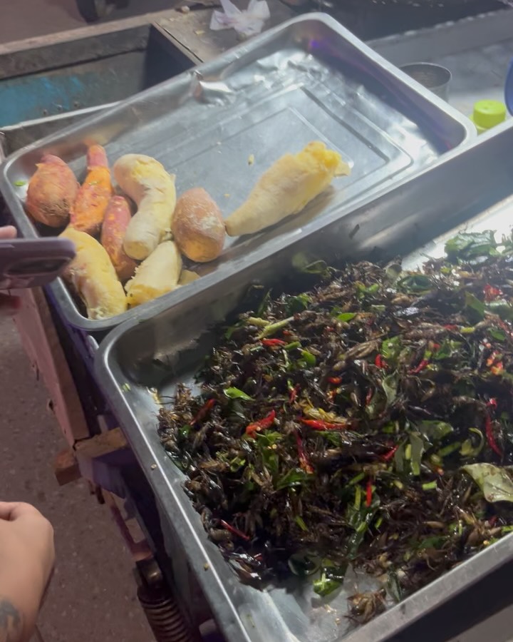 Who needs a chipper when you’ve got frogs, snails, crickets, nuts & mealworms on deck? 🐸 Delicious beer snacks to be sure 🔥 Traded the chipper for crickets—Siem Reap style. 🦗✌️#midnightsnacks #siemreapcambodia #streetfood #nochipperneeded #pubstreetsiemreap