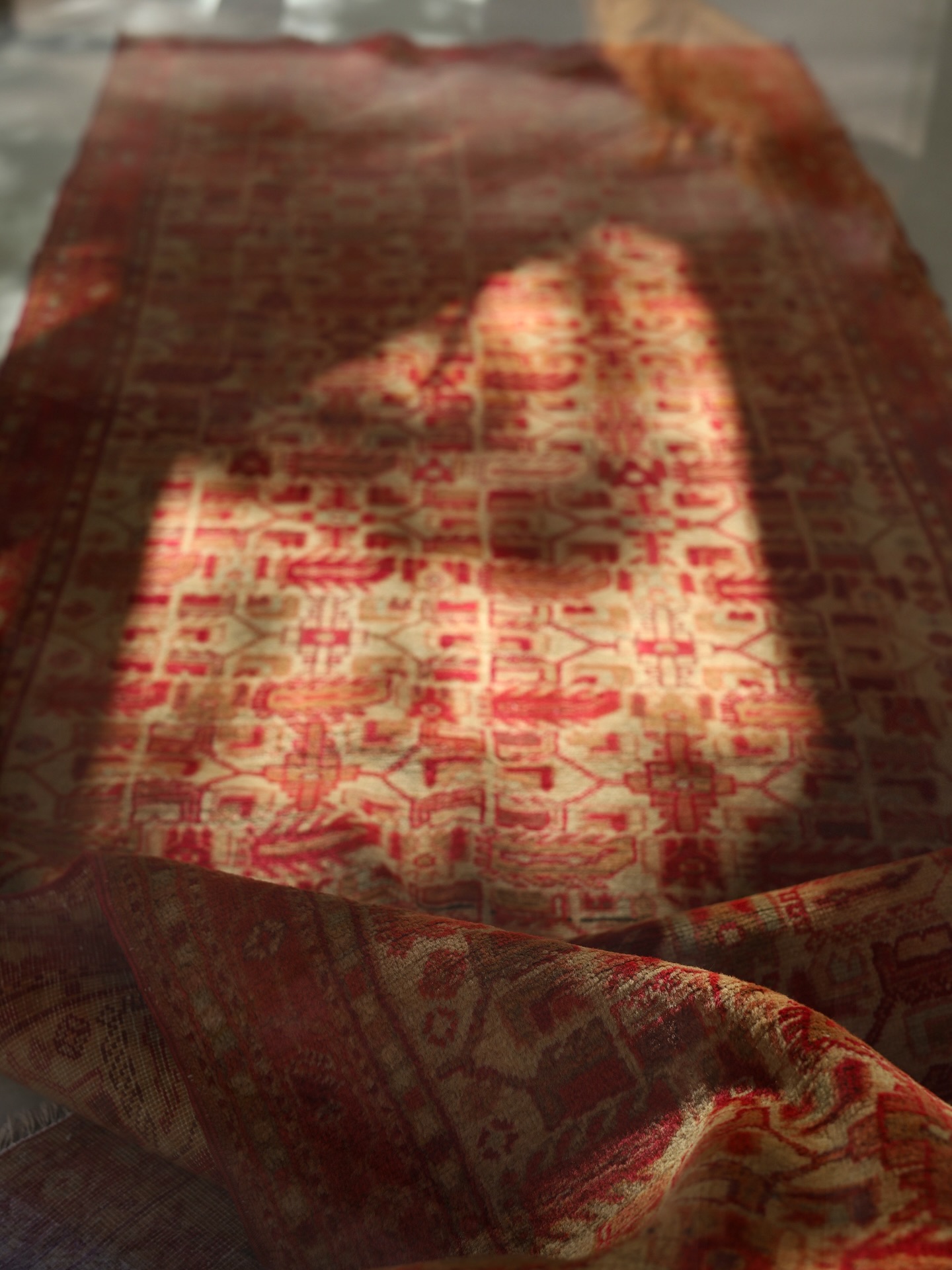 “A timeless treasure, off to its new home.
This Persian beauty has been sold. 🧡
Woven history, now part of someone’s story. #PersianRug