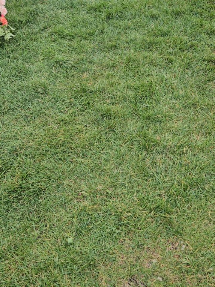 I'm gonna tell you a secret....
Coastal vibes aren't always blue and white. What if we looked at a beach sunset for inspo instead? Yes, blue and white is classic - but it can blend right into the background.
If you are thinking about color for your 2026 Cape Cod wedding flowers we would love to help! Head to our bio for the link to inquire 💕
.
Vendors:
Photos @samanthamphoto
Makeup @laceystrongmakeup
Hair @jsr.weddinghairstylist
Venue @pelhamhospitality
Music @greg_g_thats_me
Dress @ticbridal
Flowers @gardenpartycapecod