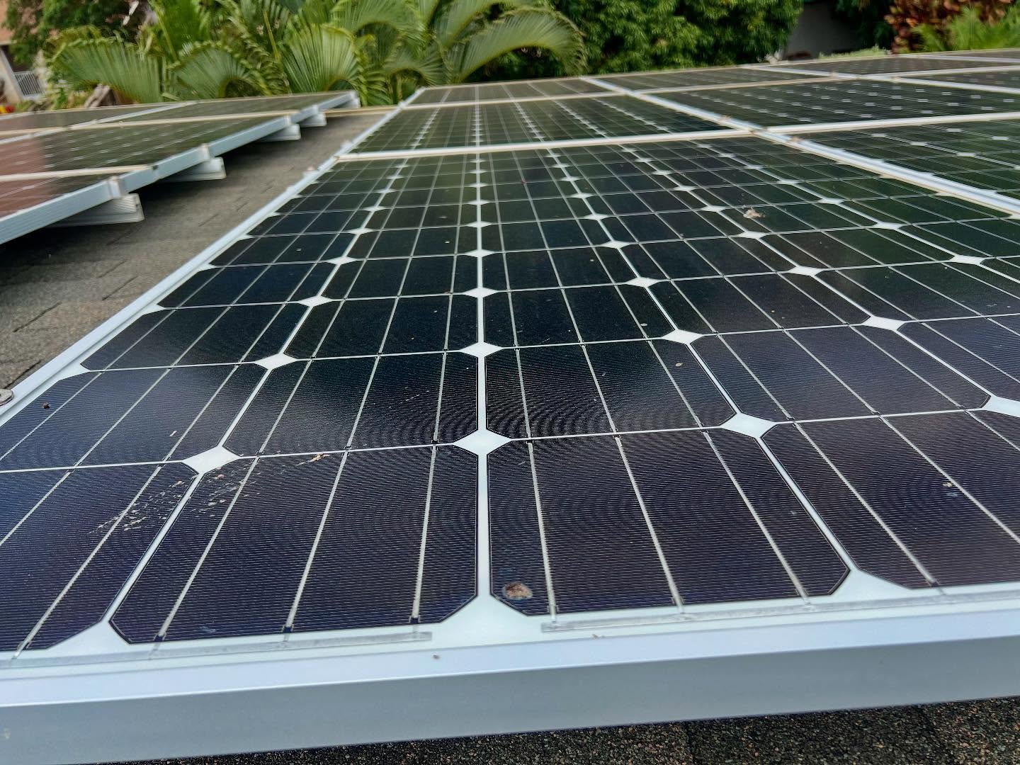 BEFORE AND AFTER 🙌🏻
The only thing blocking your sunshine should be clouds- not bird poop and grime! Good thing we are here to make your panels sparkle again and get your energy efficiency up to 100 percent! Maui living is too good to let bird poop ruin your solar power 😎
#solarcleaning #solarpanelcleaning #mauisolar #mauisolarpanelcleaning #hawaiisolarpanel #energy #solar