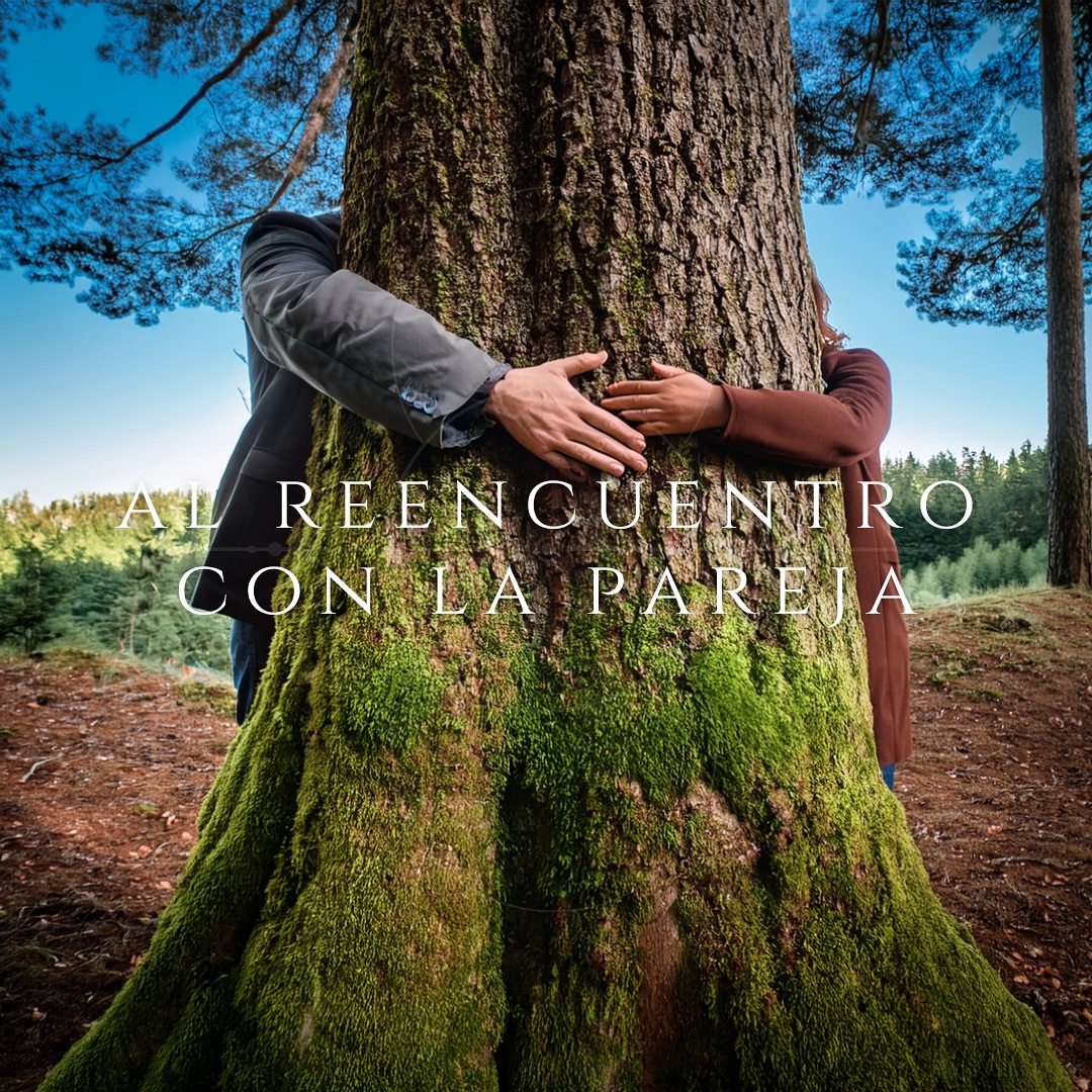 En la Terapia de pareja
No se trata de arreglar al otro.
No se trata de ganar una discusión.
No se trata de cambiar para encajar.
Se trata de volver a mirar.
De redescubrir la voz del otro sin el ruido de las defensas.
De recuperar la capacidad de escucharnos sin querer tener razón.
De sostener el vínculo sin perder lo que somos.
La terapia de pareja es un espacio para:
✨ Reconocer nuestras heridas y cómo se activan en el vínculo.
✨ Aprender a comunicar lo que sentimos con honestidad y respeto.
✨ Cultivar una relación basada en la autenticidad, no en el deber.
✨ Recordar que el amor también se aprende, se cuida, se elige.
Una pareja no es solo dos personas que se quieren.
Es un encuentro vivo entre dos mundos emocionales, que merece ser mirado con compasión y consciencia.
📍 Si sientes que vuestra relación merece un espacio seguro para crecer, sanar o entenderse… la terapia puede ser un primer paso amoroso.
#TerapiaDePareja #PsicologíaHumanista #VínculoConsciente #CrecimientoMutuo #AmorConsciente #RelacionesSanas