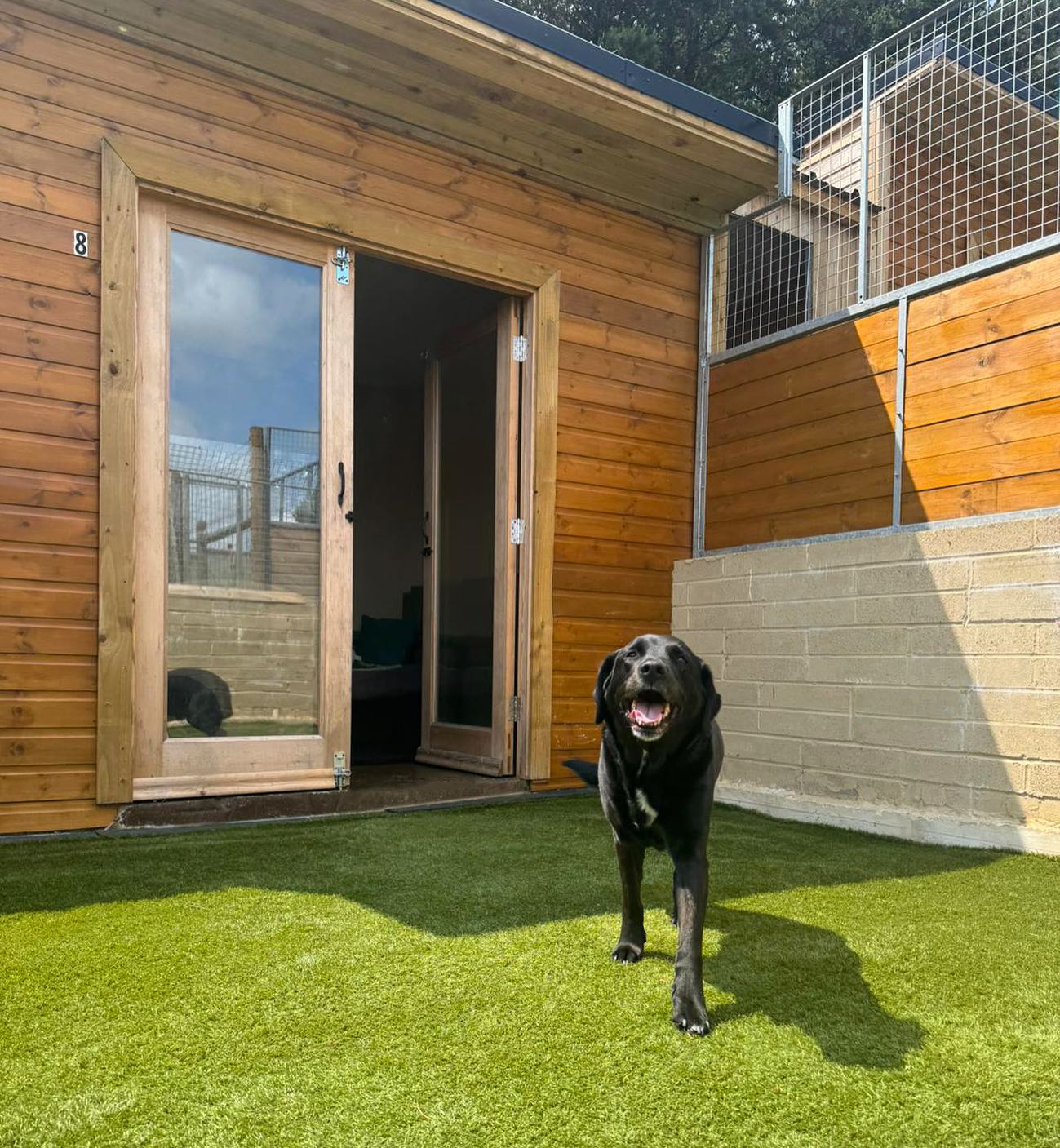 Luxury dog boarding lodges at Lothersdale Pet Retreat! 🐶🐾
📍Near Skipton
#luxurydogkennel #pethotel #dogboarding #dogboardingbusiness #happydoggo #dogsholiday #dogkennel #dogkennels #yorkshiredog #skipton #dogwalkinglife