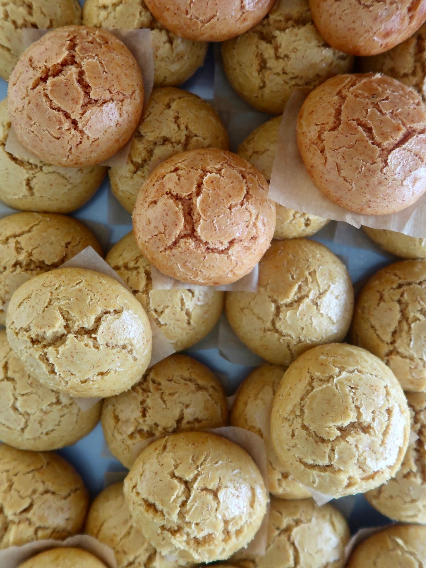 Petit pain duveteux au curcuma, mousse de poisson ou tofu sésame wasabi, carpaccio de fenouil croquant, pickles et cerfeuil 💭
Petite astuce pour le carpaccio de fenouil : une fois les lamelles coupées, plongez-les dans une eau glacée pendant 10 minutes env. puis bien les sécher. Ca rendra votre fenouil croquant à souhait !
Le carpaccio de fenouil est également délicieux avec simplement des copeaux de parmesan, jus de citron, huile d’olive et fleur de sel 👌 Simple, gourmand et si rafraîchissant !