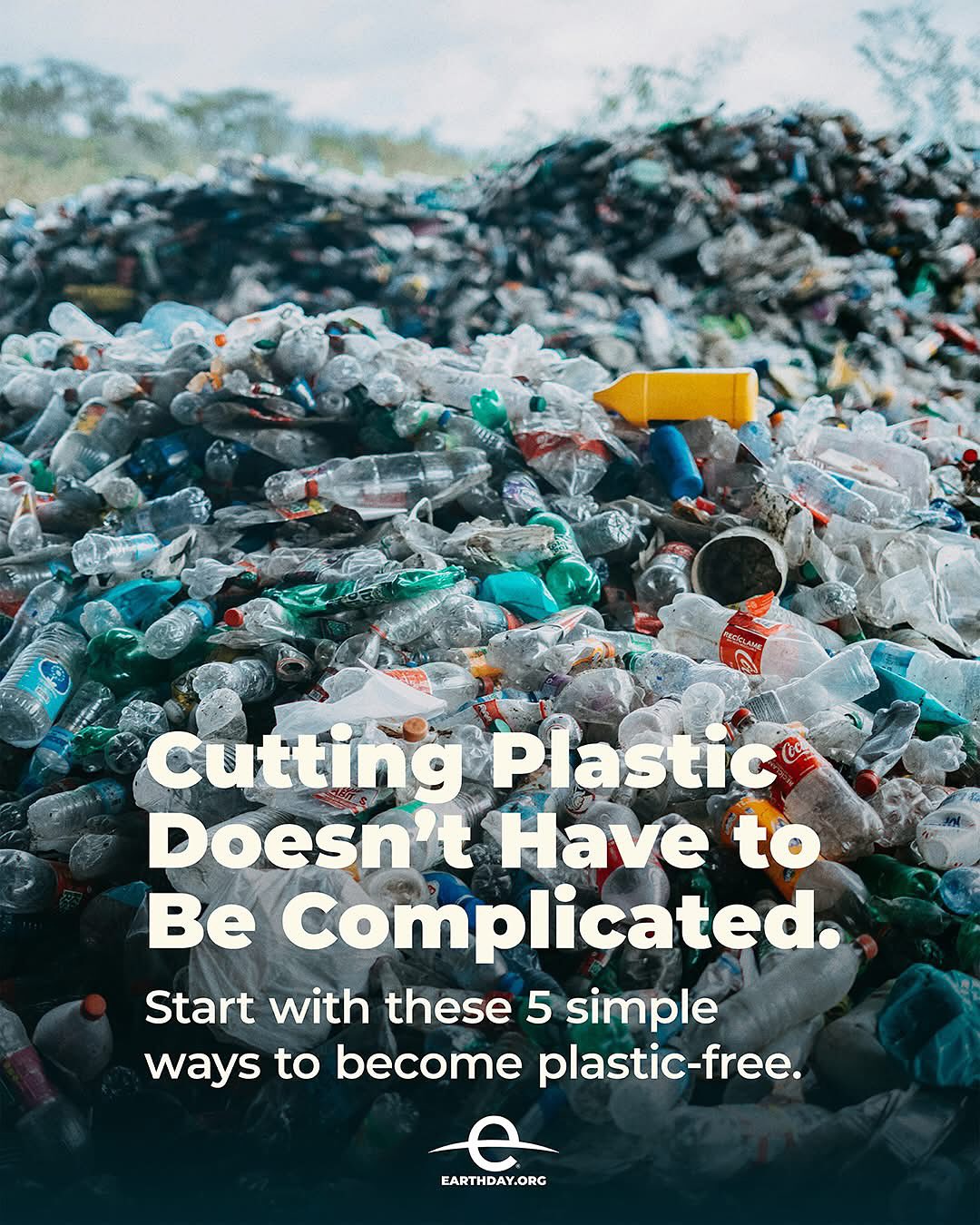 Plastic Free July is happening now! Want to participate but not quite sure where to start…check out these 5 tips from @earthdaynetwork 🌍🌳☀️
“Whether you’re skipping plastic bags or rethinking your laundry routine, it all counts.”
Repost: @earthdaynetwork
#PlasticFreeJuly #EarthDayEveryDay #shopgreenhaven #ecofriendlyproducts #smallbusiness #milwaukee