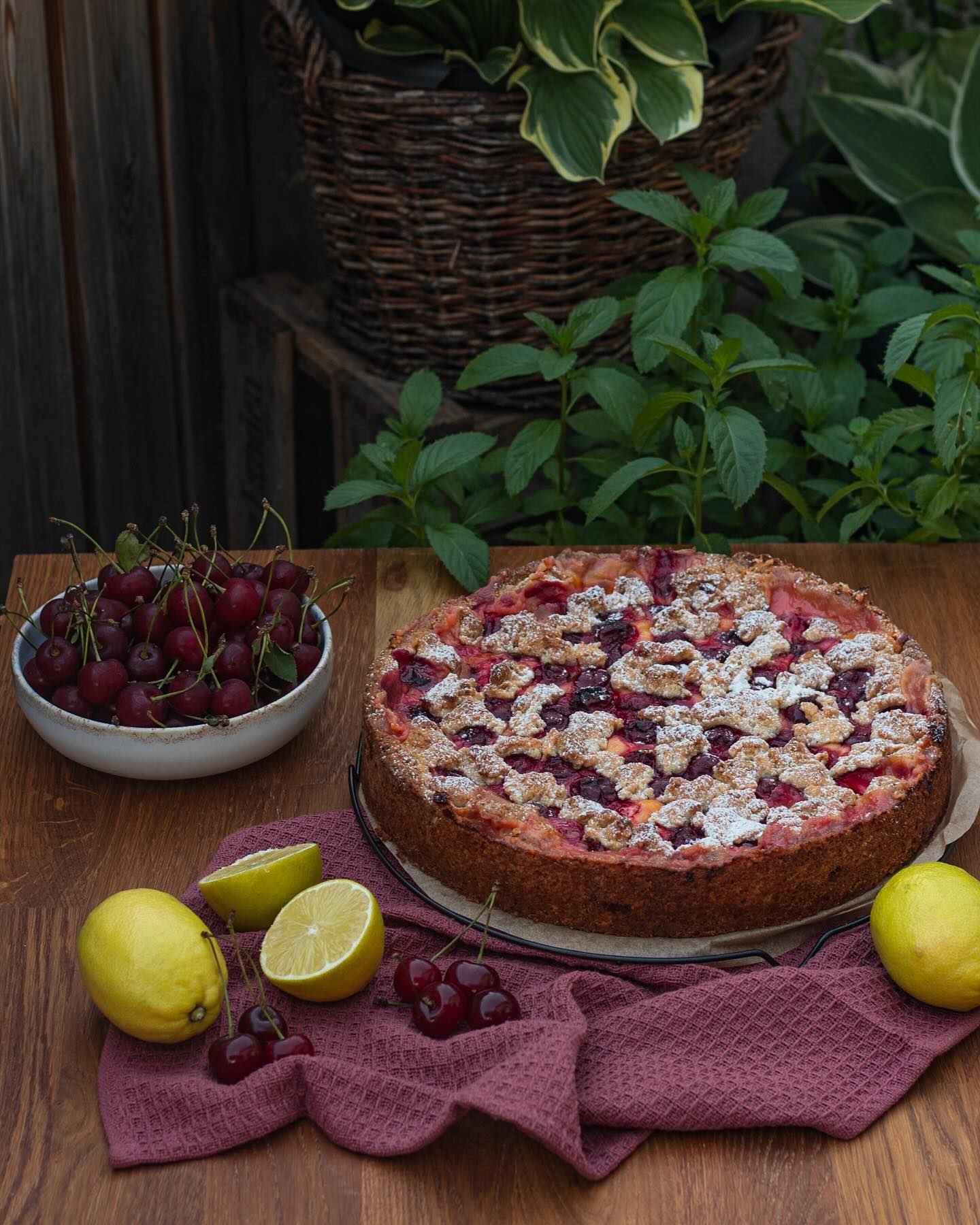 Heute habe ich mich bei den warmen Temperaturen draußen in die Küche verkrümelt und meinen absoluten Lieblingskuchen für den Sommer gebacken. Auf der Suche nach neuen Ideen mit Kirschen, bin ich vor ein oder zwei Jahren bei @dasknusperstuebchen auf dieses Rezept gestoßen. Und da wir neben Süsskirschen auch noch ein paar Sauerkirschbäume haben, war das natürlich perfekt. Die fruchtige Säure der Kirschen mit der frischen Zitronencreme ist gerade auch bei den aktuellen Temperaturen eine tolle Kombination. Und Streusel gehen ja eh immer. Oder? #rezeptidee #kirschen #sauerkirschen #sauerkirschkuchen #sommer #sonne #kuchen #backen #foodfotografie #streuselkuchen #sauermachtlustig #zitronen #zitronencreme #frische #hofladenlang #wintersweiler #kandern #karsau #schwörstadt #lörrach #basel #weilamrhein #rheinfelden #wochenmarkt #wochenmarktlörrach #hofladen #foodlover #foodies
