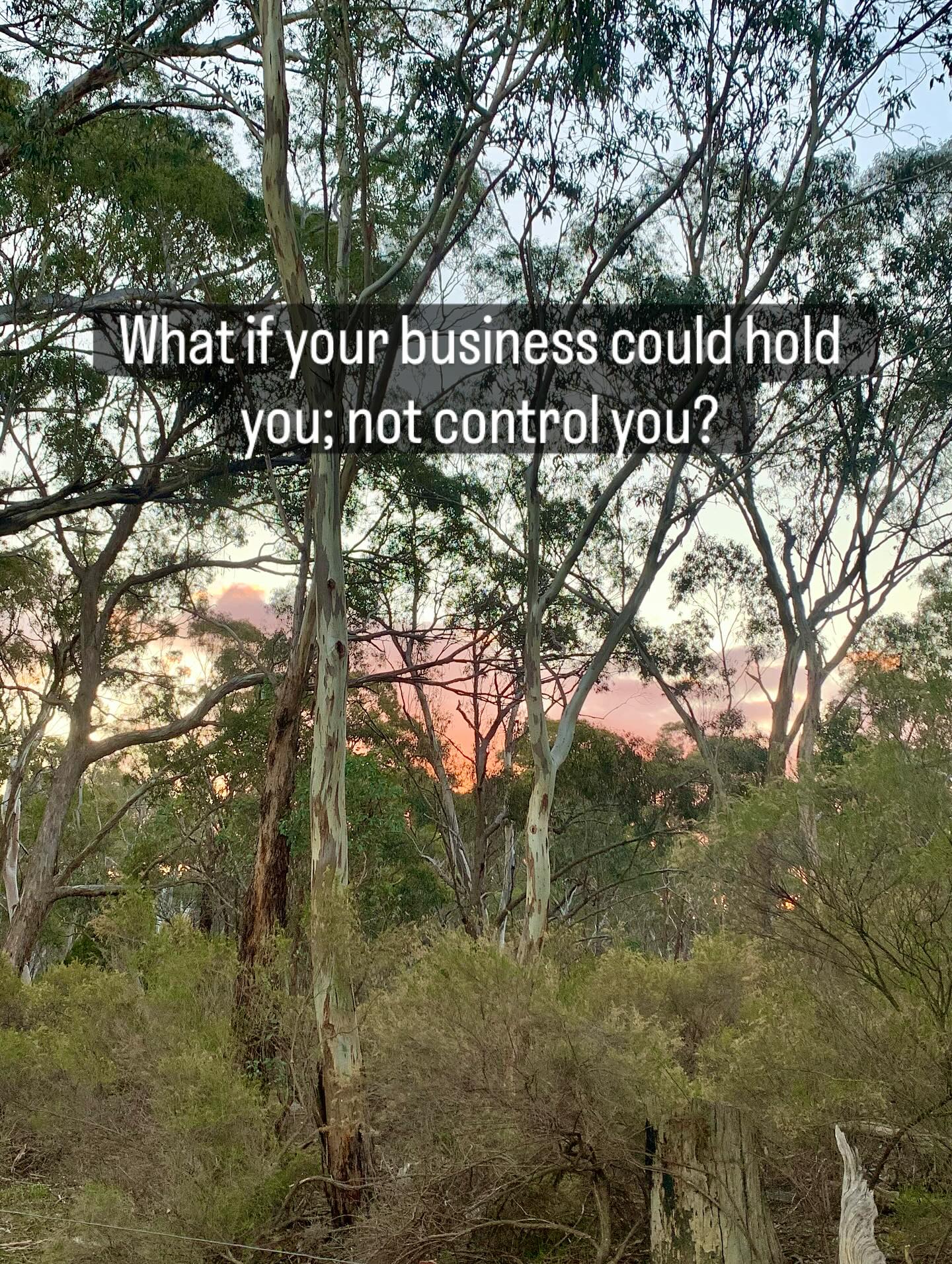 I don’t run my business by asking how much can I squeeze in?
I ask:
🍃How many nervous systems can I support while also supporting my own?
🍃Where is the line between service and self-sacrifice?
🍃When does my creativity run dry?
🍃How many hours can I spend online before I need to return to the wild?
Because a business that isn’t in service of life — my life, our lives — isn’t one I want to build.
This is the work of Unbound.
We’re not here to slap self-care on top of hustle.
We’re here to rewrite the rules entirely — from extraction to reciprocity, from coercion to consent, from performance to presence.
This is regenerative business. This is nervous-system-honouring leadership.
This is the paradigm shift.
Unbound starts today.
Come with us?