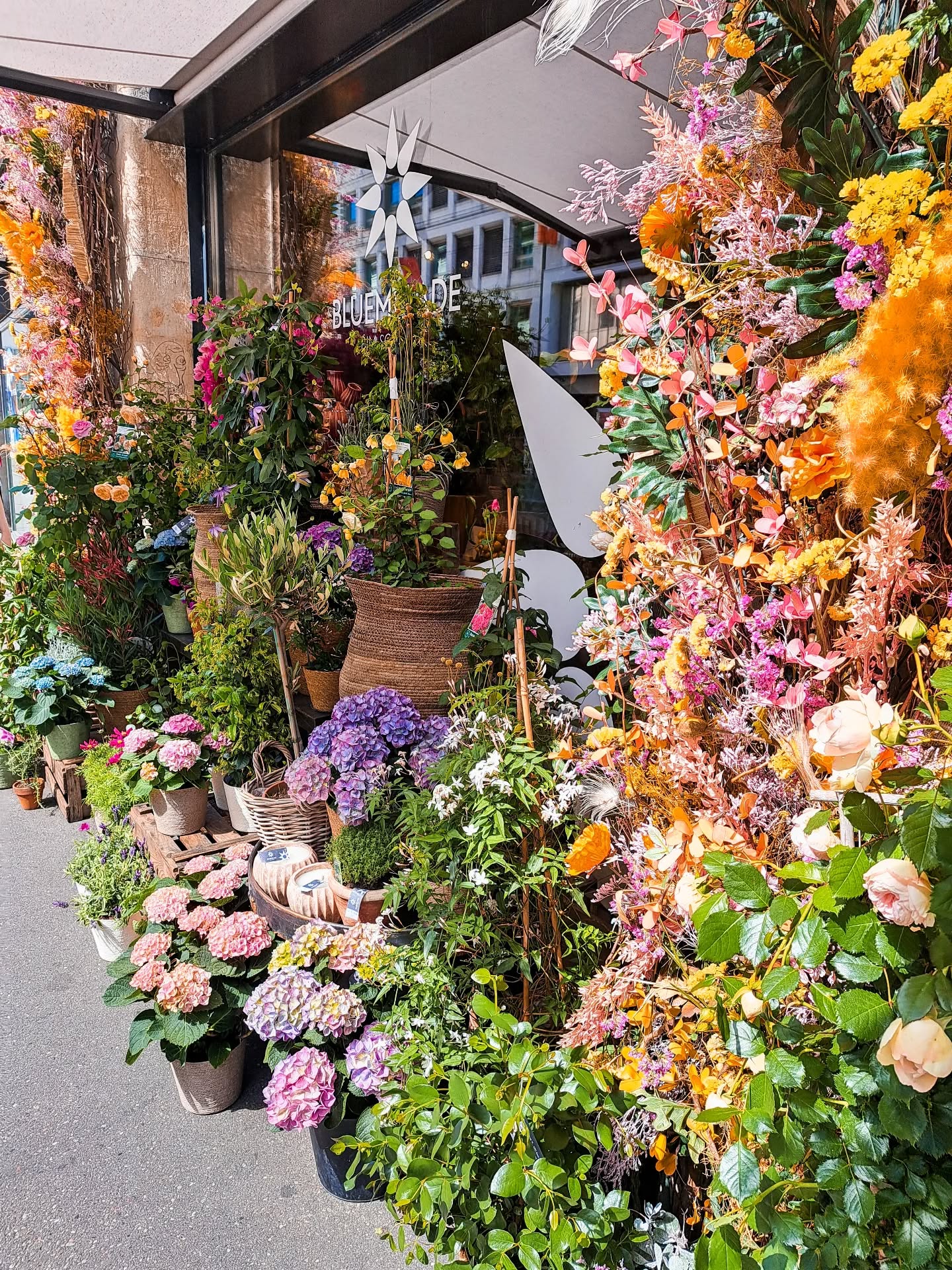 Ich schwöre, ich war früher nicht so. 😂
Aber seit ich diesen einen Blumenladen in mein Buch geschrieben habe, bleibe ich plötzlich bei jedem zweiten stehen und suche nach meinen Hauptcharakteren und muss ein Foto machen.
Tja. Willkommen in meinem neuen Alltag.
Und am 14.07 kann ich euch endlich das Cover zeigen! 🧁💐❤️
#cozyromance #Buchliebe #bookstagramgermany #CinnamonHearts #BooknerdReality
