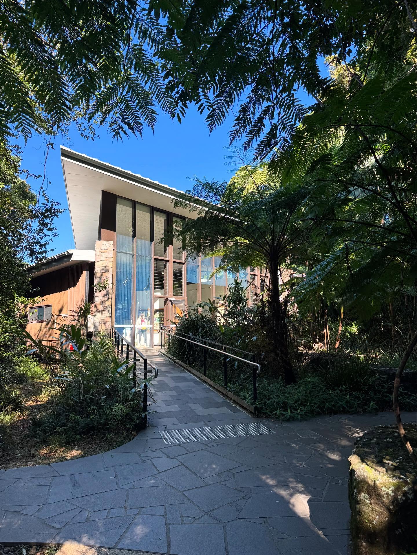 🌿 A Little Urban Inspiration from the Rainforest 🌿
Visited @marycairncross_scenicreserve in Maleny these school holidays and couldn’t help but reflect on how beautifully nature and planning can work together.
This place isn’t just stunning, it is also a reminder that with thoughtful design, we can create spaces people love, without compromising the environment.
We are passionate at Urban Advisory about helping communities grow in a way that’s sustainable, connected, and genuinely liveable.
Here’s to more places that breathe. Highly recommend a visit to this beautiful place.
📍 Maleny, QLD
📸 @urbanadvisorybne