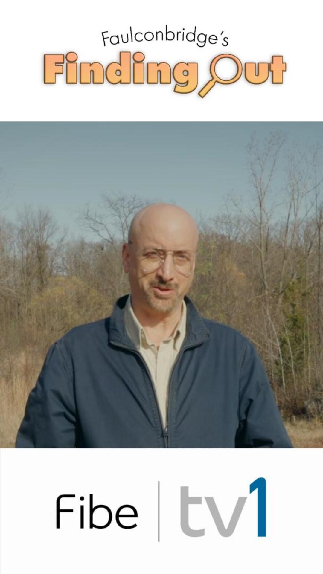 Check out Faulconbridge's Finding Out exclusively on @fibetv1. New series with appearances by @countgavin @laurielliott @manoliszontanos @paulhaywood @ashleysloggett @justinshaw. Directed by @patcoppolino. link in comments. #newcomedy #sketch #improv #news #hotdog