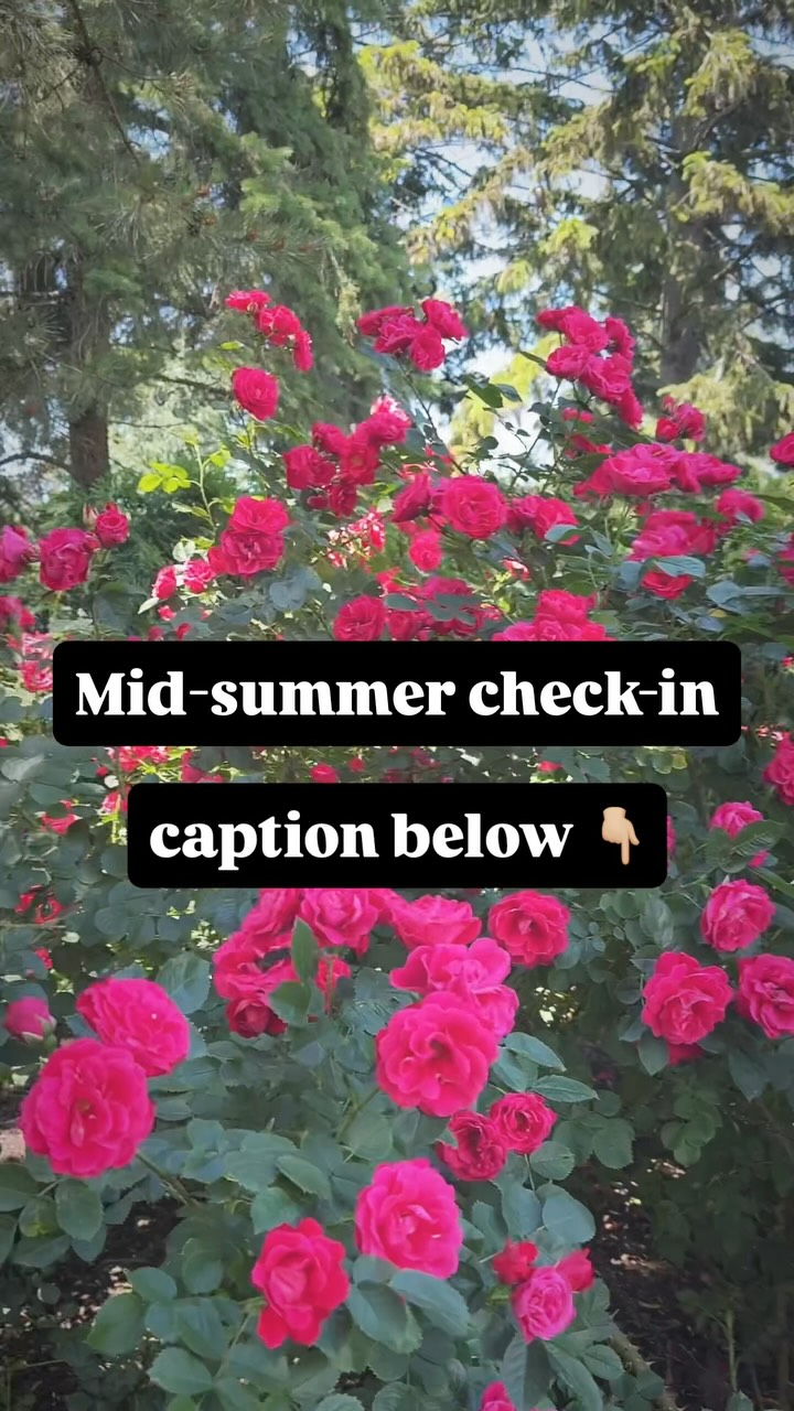 We are halfway through summer…and it’s a great time to take spiritual inventory. Pause today and connect with the Lord. How has your pursuit of Him been lately? Have you had opportunities to dig into His word, and to pray and worship?
He longs for connection with each of us. Make room for Him today and the good things He has in store for you.
#JesusLovesYou #SummerAtFusion #SummerInWauconda #ReadYourBible #Pray #Listen