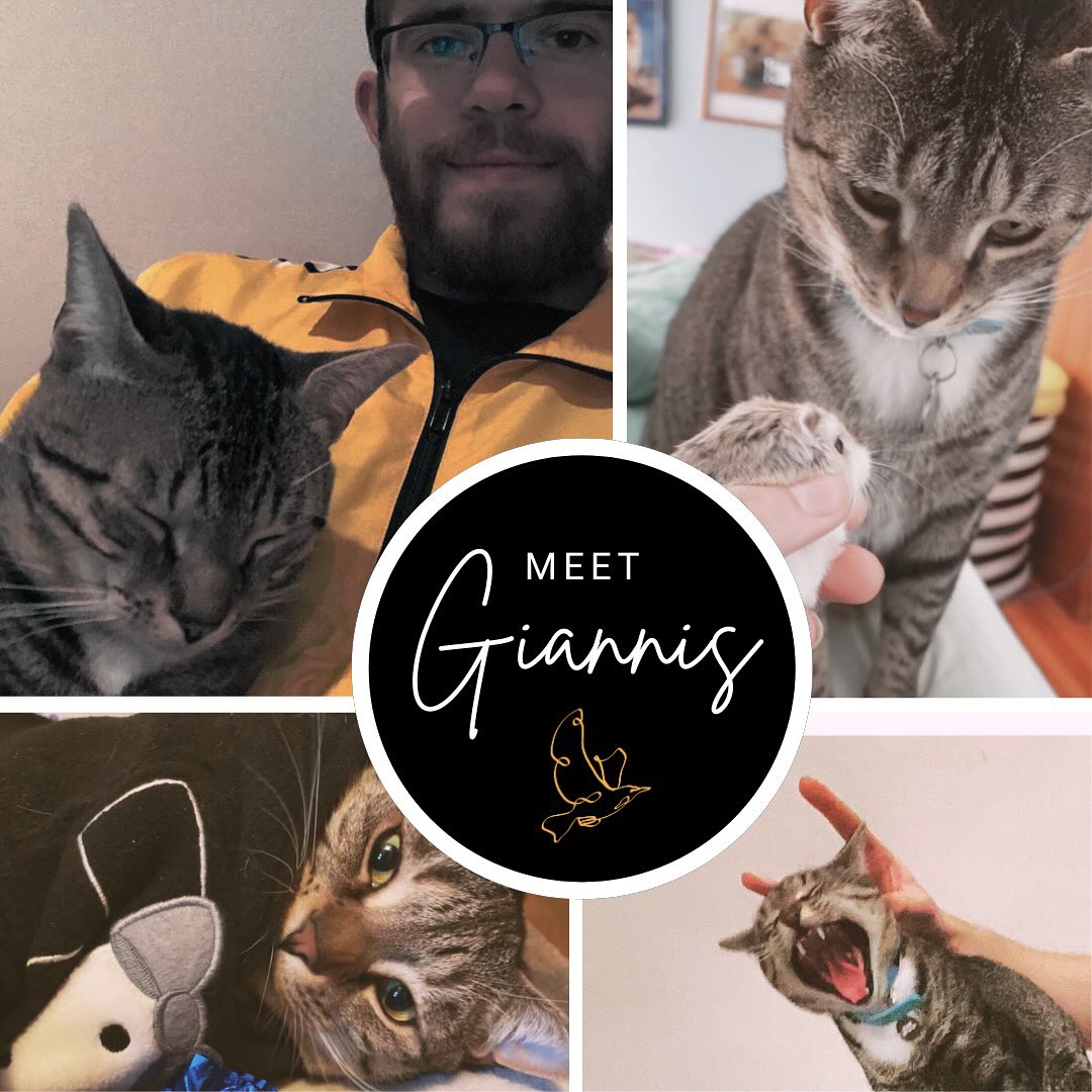 While we usually highlight Everett’s affinity for birds, we wanted to devote this post to his beloved cat, a now 7-year old rescue named Giannis (named after Giannis Antetokounmpo @giannis_an34 of the Milwaukee Bucks @bucks).
Giannis was likely born a stray who was taken to ACCT Philly (@acctphilly) and adopted by Everett in 2019. Though Everett had initially wanted to take his childhood cat, Shadow, with him to college, he quickly fell for Giannis, who has been described by his current owner, Everett’s friend Rachel, as “the friendliest cat ever.”
Giannis took on Everett’s spirit of extroversion and is known for being outgoing, welcoming, and always curious. We are grateful to Rachel, who graciously took Giannis in, where he now lives alongside Rachel’s other cat, Jax.
