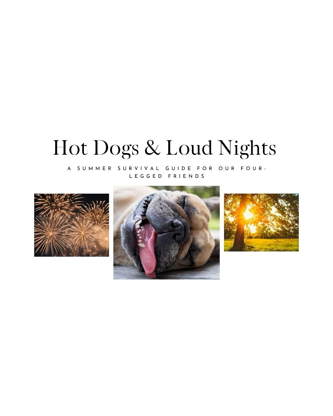 Summer in our towns brings long, golden days and evenings lit by fireflies — and fireworks. For many of us, it’s a time of celebration and connection. But for our dogs, summer can quietly become a season of stress, overwhelm, and real danger.
With the fourth of July approaching, check out what @fourpawsinn has to say on the topic in this month’s issue of Valley & Ridge!
Follow the link in our bio to find the full article!
Or, If you aren’t already receiving @valleyandridge_mag to your home, make sure to subscribe to get next month’s issue!
