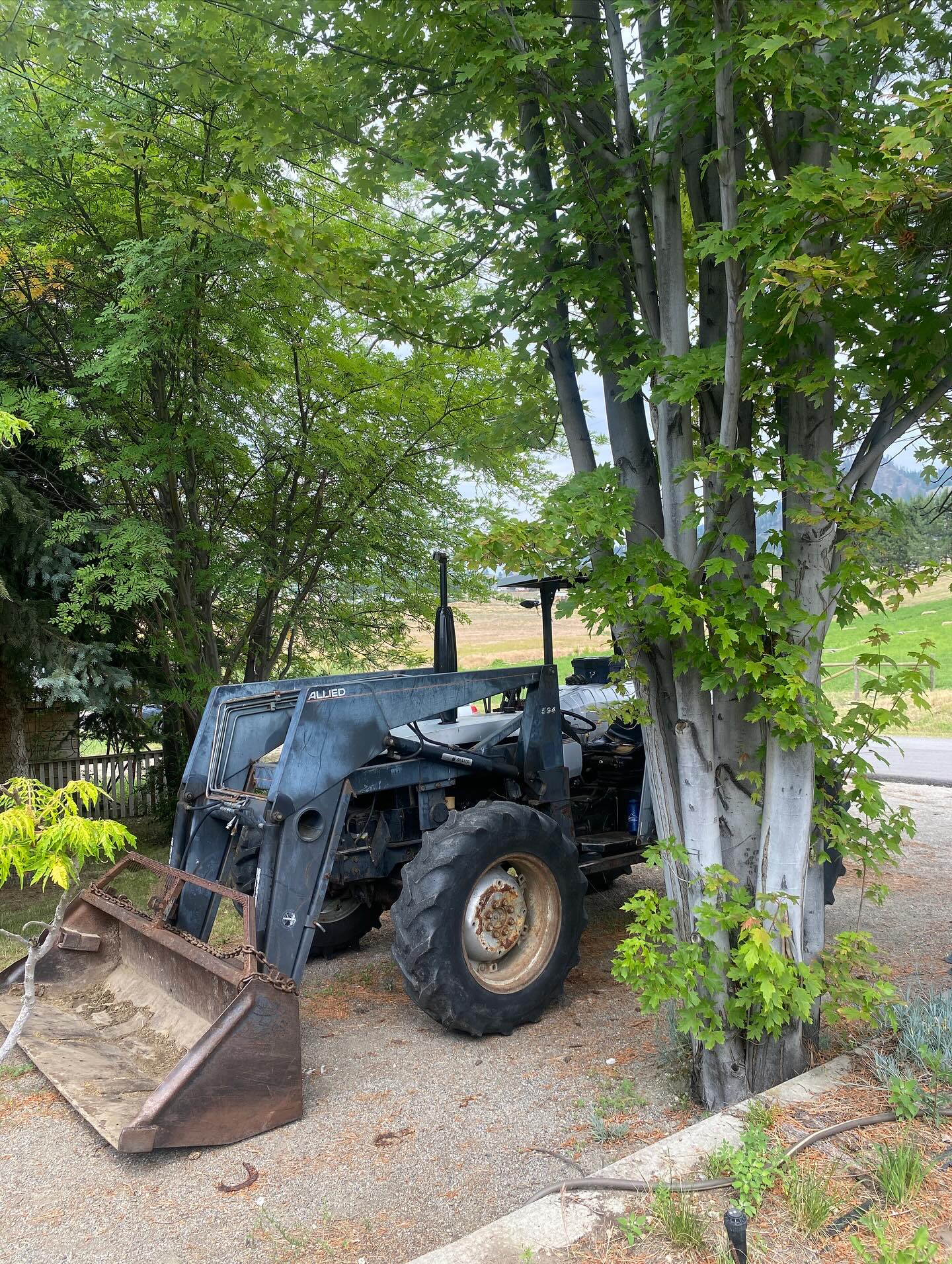 Tractors……👩🏻🌾❤