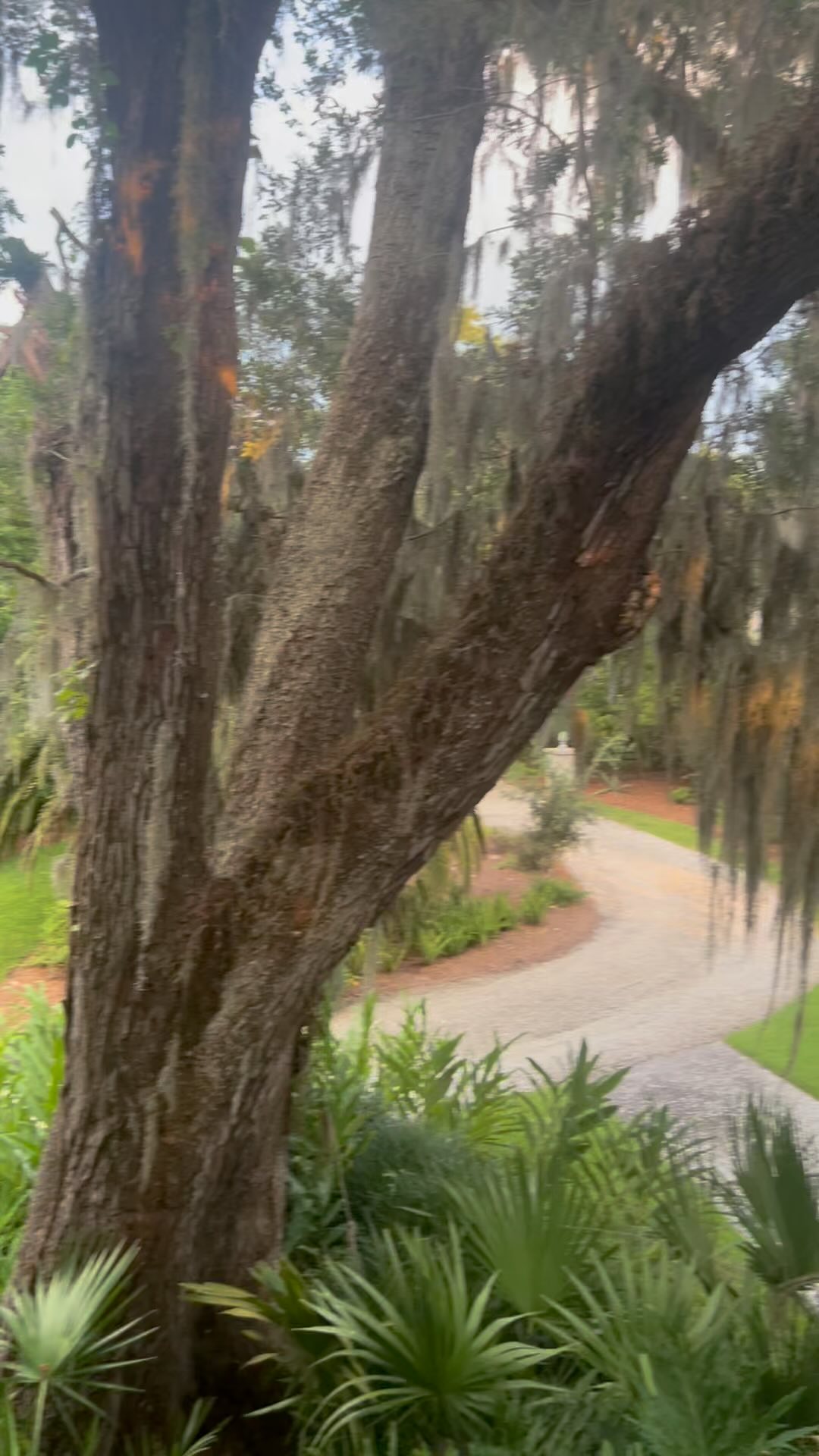 Gorgeous light on Saint Simons Island tonight. #travelerapartners #travelblogger #aikensc #luxurytravel #virtuosotravel #saintsimons