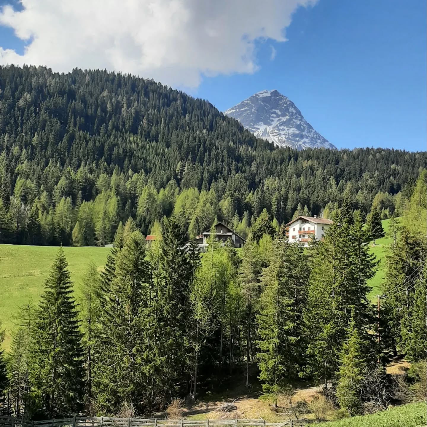 Mai - die gelbe Jahreszeit bei uns in den Bergen.
Von gelb-grünen Wiesen über kristallklare Seen bis hin zu schneebedeckten Gipfeln. Der Mai hat uns viel Sonne gebracht und Lust auf Sommer gemacht 🌞
.
.
#Mai #maiindenbergen #Frühling #gipfelblick #bergblick #hofleben #haidersee #reschensee #reschenturm #naudersamreschenpass #naudersunddu #urlaubambauernhof #urlaubintirol #visitaustria #visittirol #urlaubindenbergen #bauernhofleben #mountainlove #mountainlife #mountainview