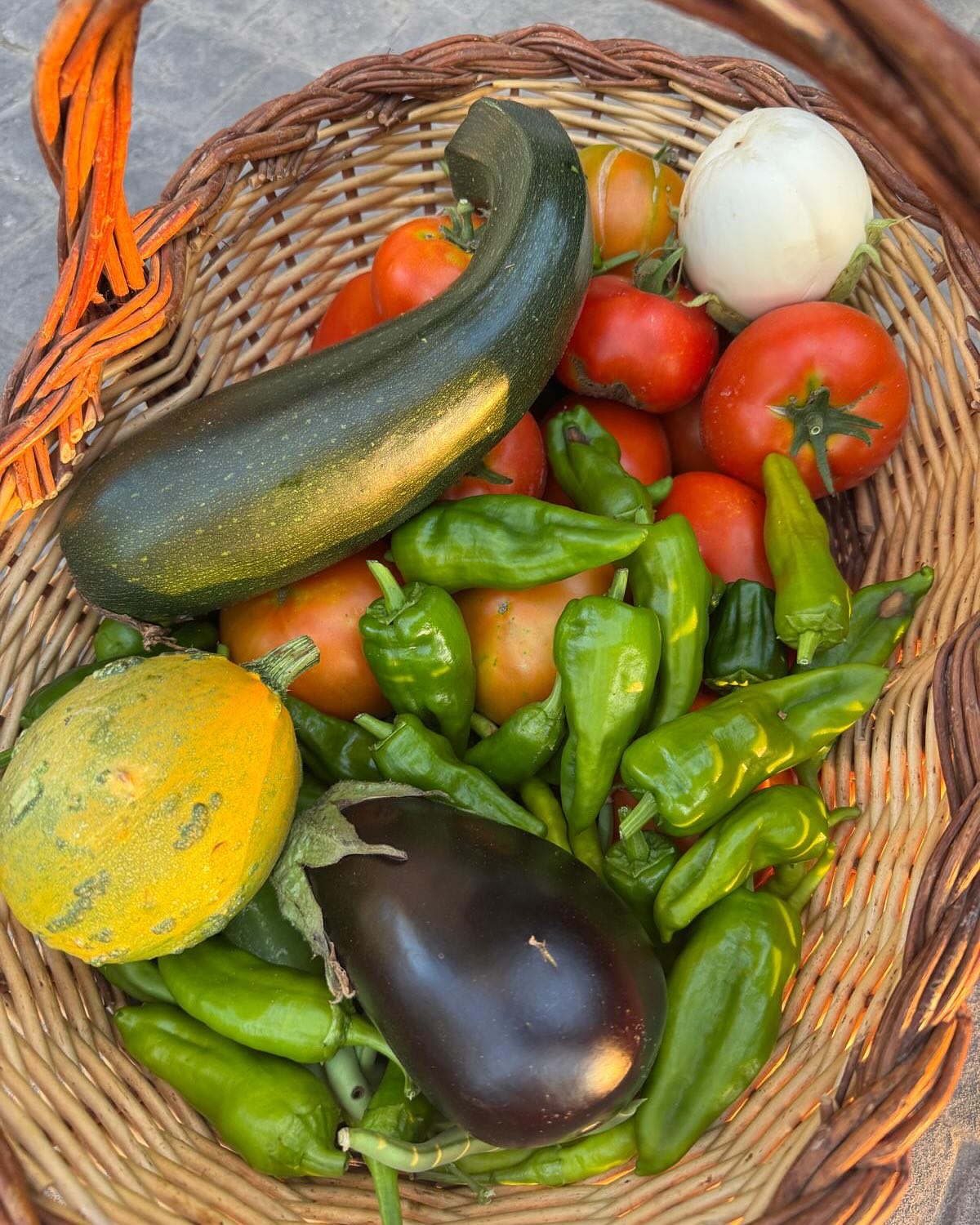 La realidad supera la ficción.! 😱
Que felicidad y orgullo sentimos de ver las cosechas de nuestros huerteros y huerteras!!🥹
Felicitaciones a todos por esta gran temporada!!!!👏🏻
Y tú qué esperas para cultivar tus propios alimentos agro ecológicos???
Reserva ya tu parcela!!!
📞 612 206 150