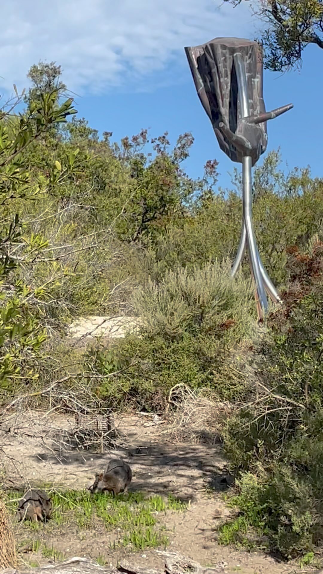 The essence of our vision for the trail. Art with meaning immersed in nature as local wildlife peacefully graze. The sounds of rolling waves in the background & visitors quietly soaking it all in.